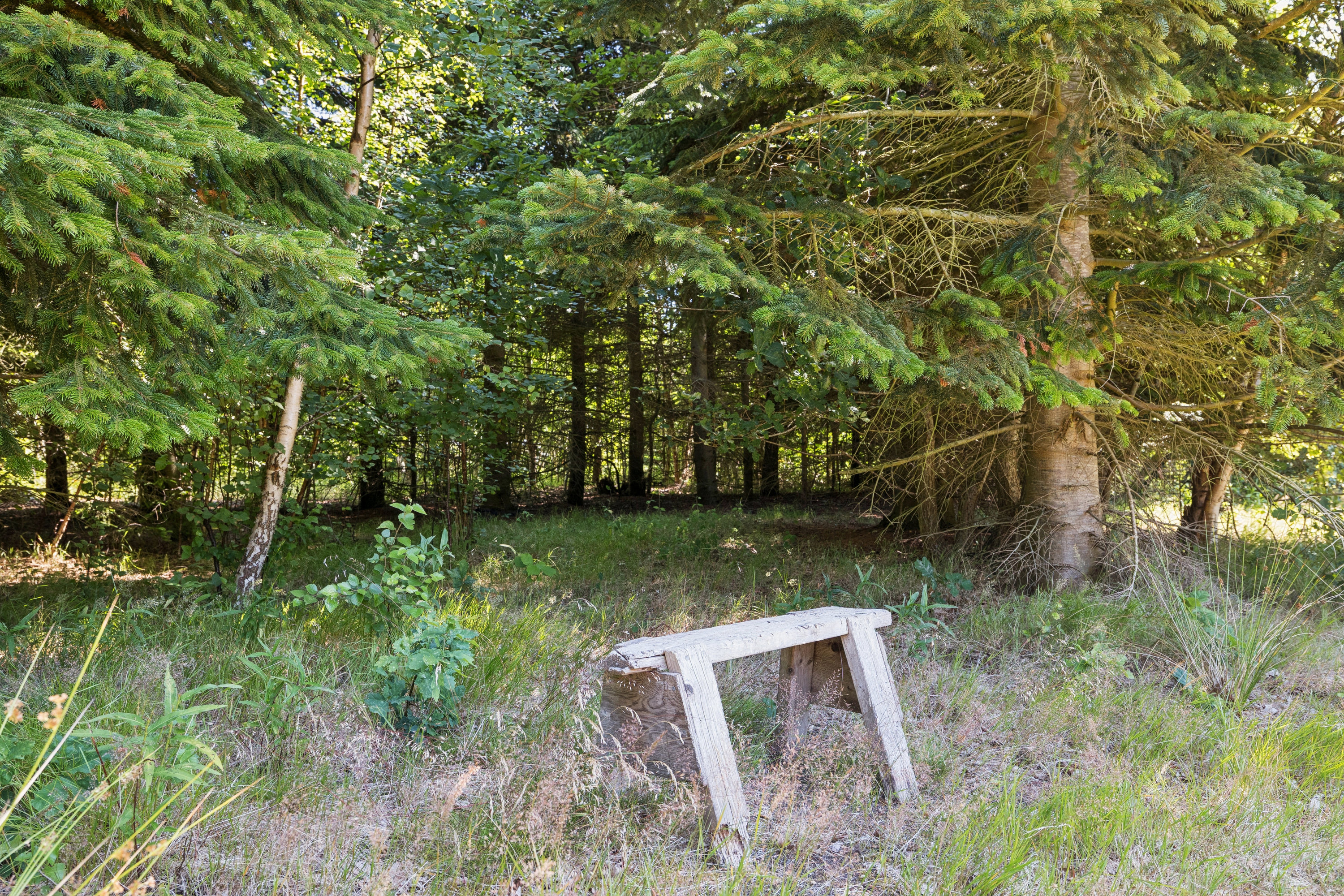 Fremhævet have billede i fuldskærmstilstand. Billede af Sletten 41, Odde, 9560 Hadsund