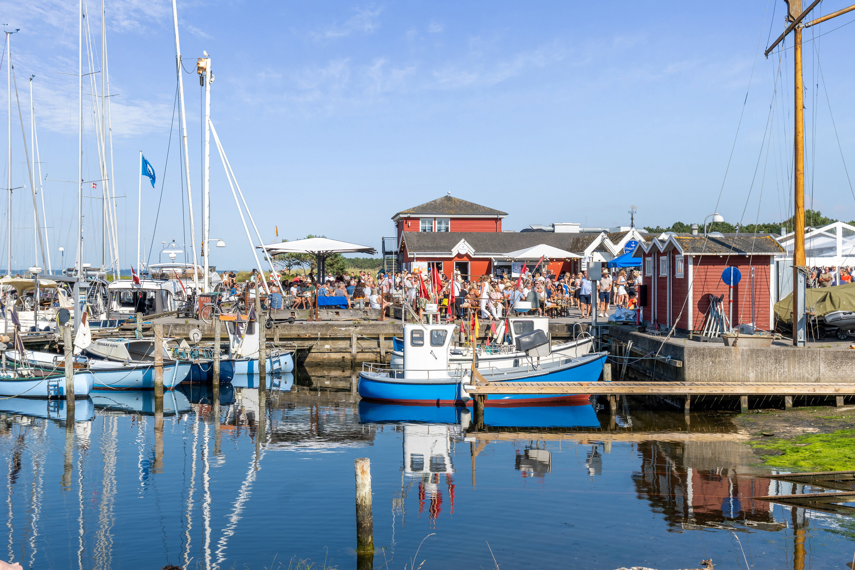 Fremhævet udendørs billede i fuldskærmstilstand. Billede af Nordre Strandvej 366, 3100 Hornbæk