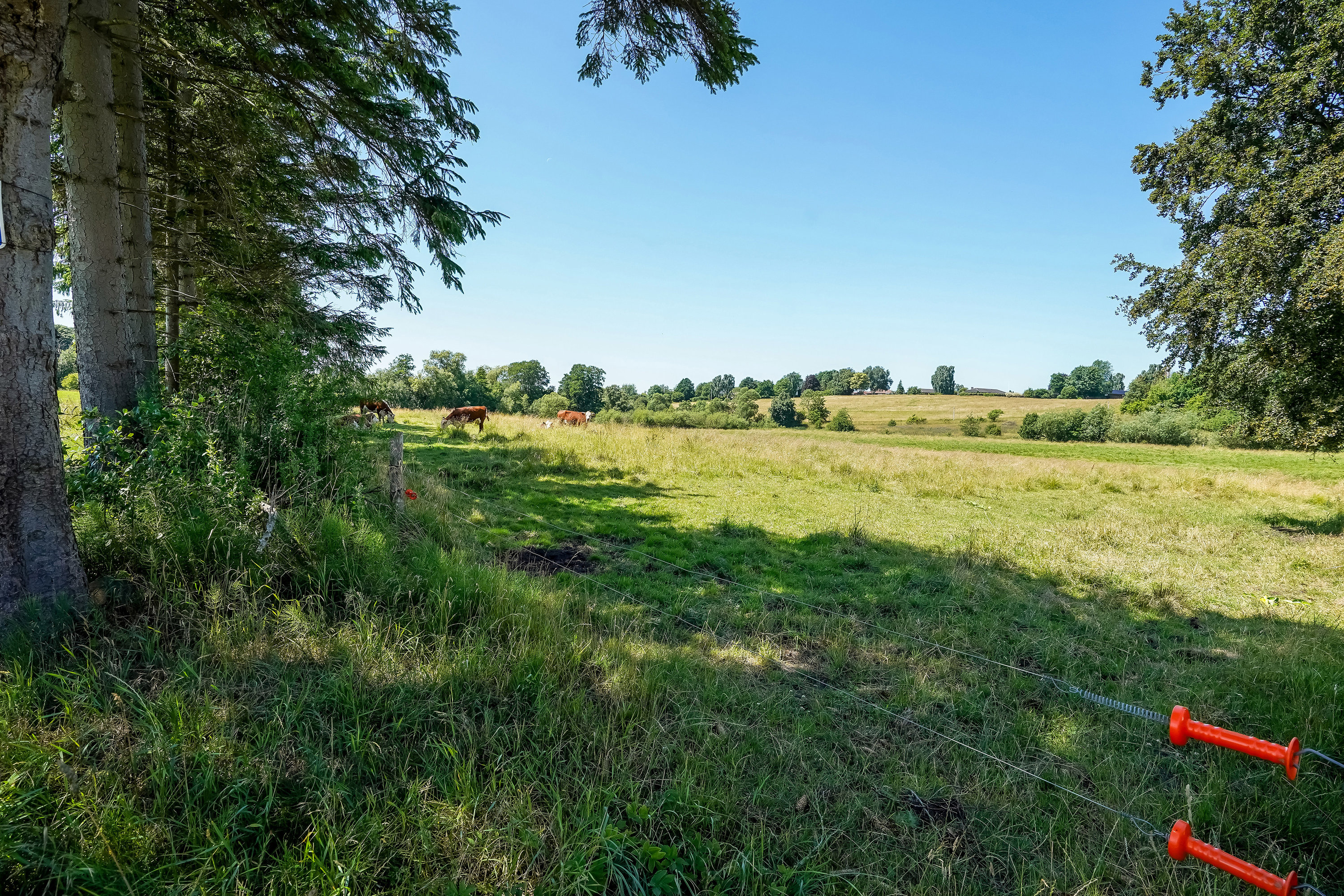 Fremhævet have billede i fuldskærmstilstand. Billede af Skovbakkevænget 17, Skt Klemens, 5260 Odense S