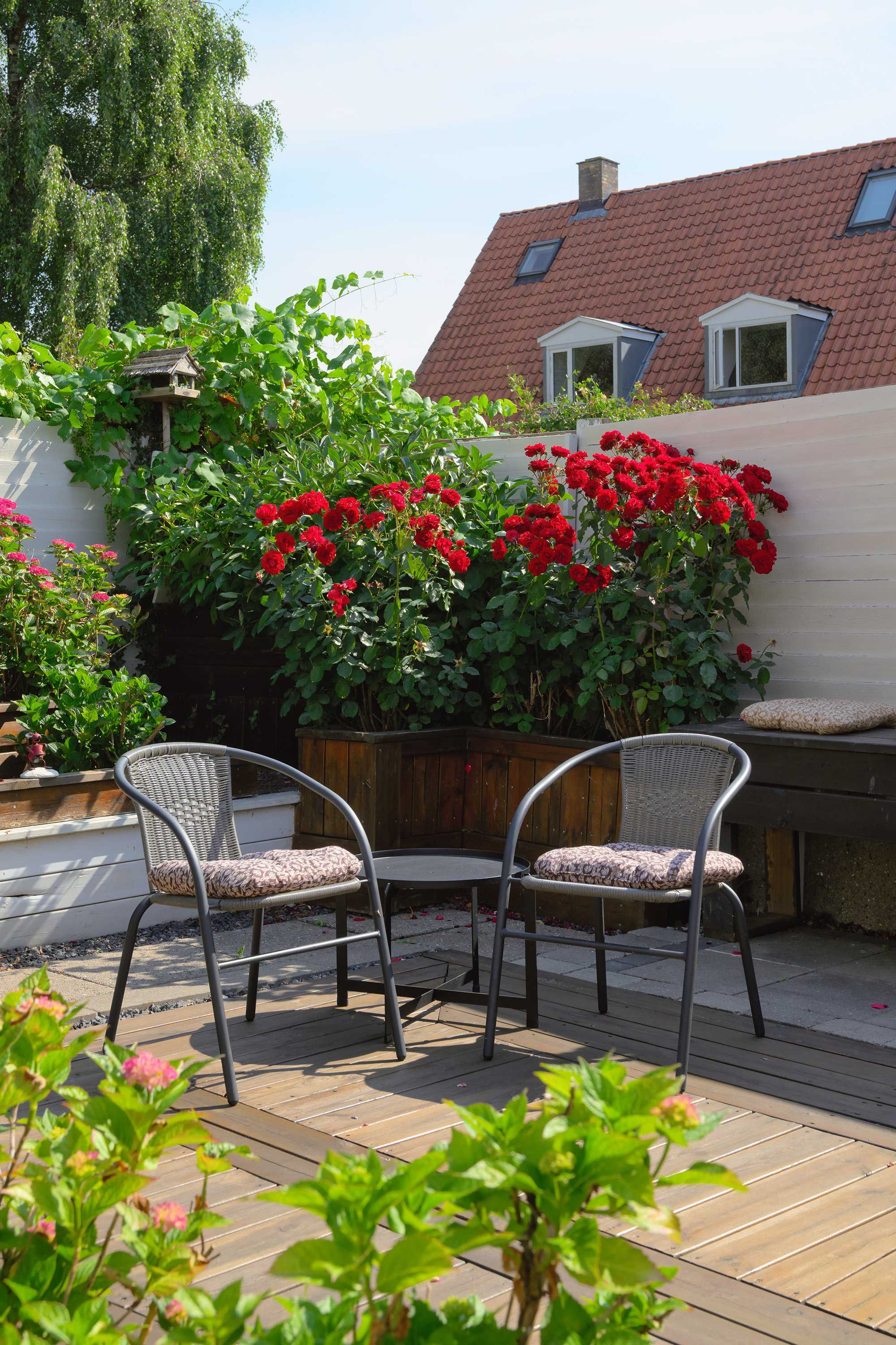 Fremhævet terrasse billede i fuldskærmstilstand. Billede af Grønnegade 25, 4800 Nykøbing F