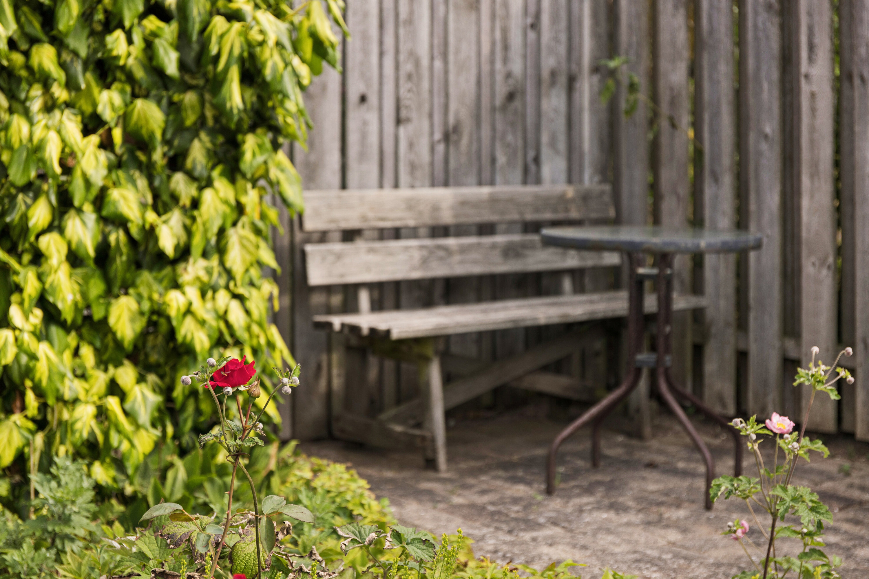 Fremhævet terrasse billede i fuldskærmstilstand. Billede af Klintebakken 16, Svallerup, 4400 Kalundborg