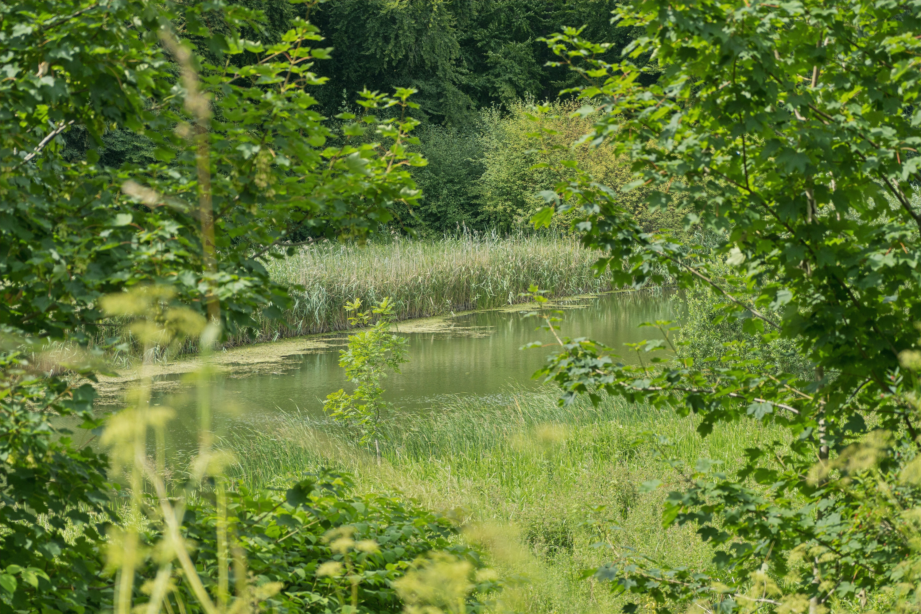 Fremhævet udendørs billede i fuldskærmstilstand. Billede af Skelbyvej 55, Skelby, 4160 Herlufmagle