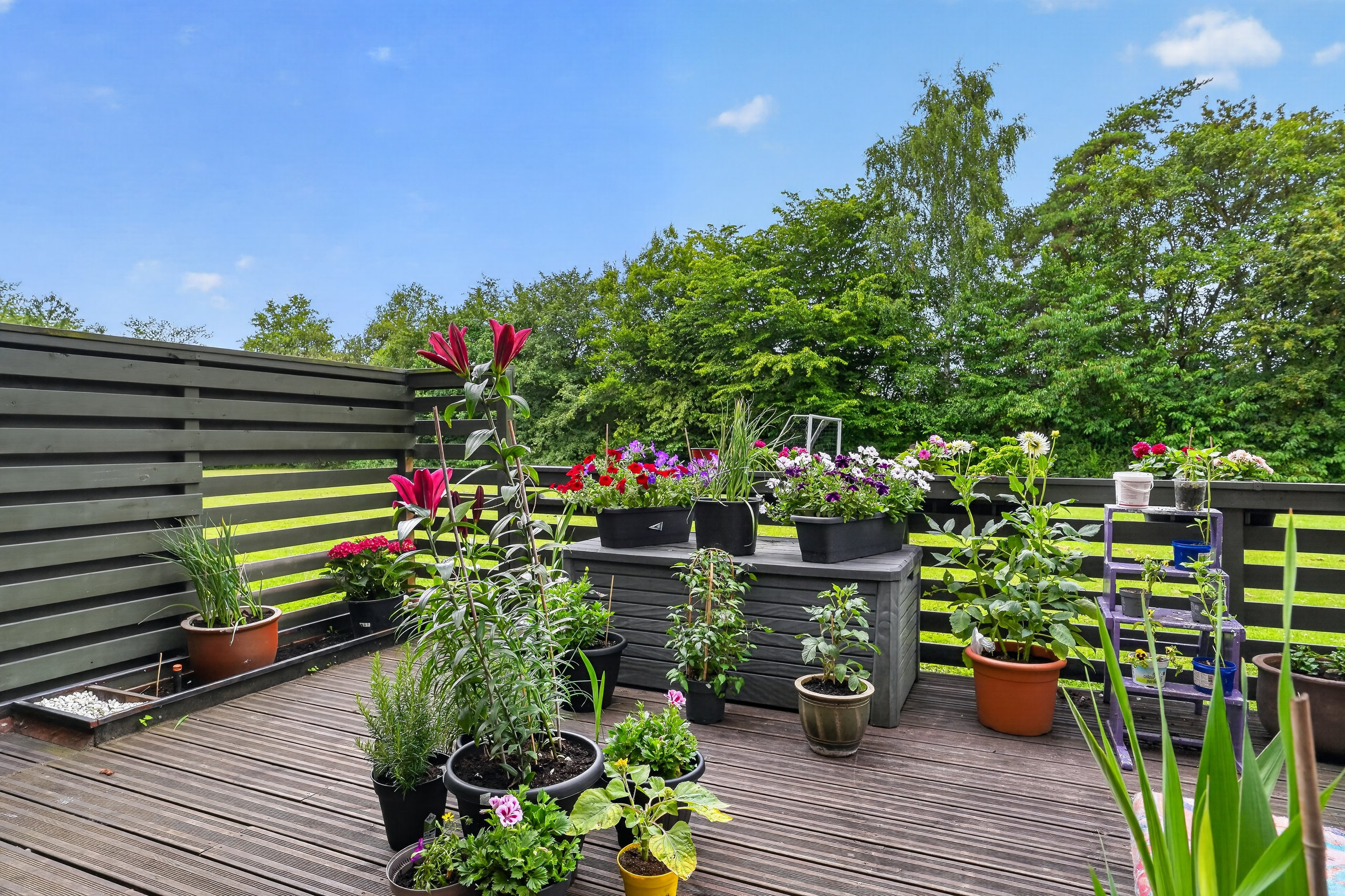 Fremhævet terrasse billede i fuldskærmstilstand. Billede af Teglgårdsvej 405, st. th., 3050 Humlebæk