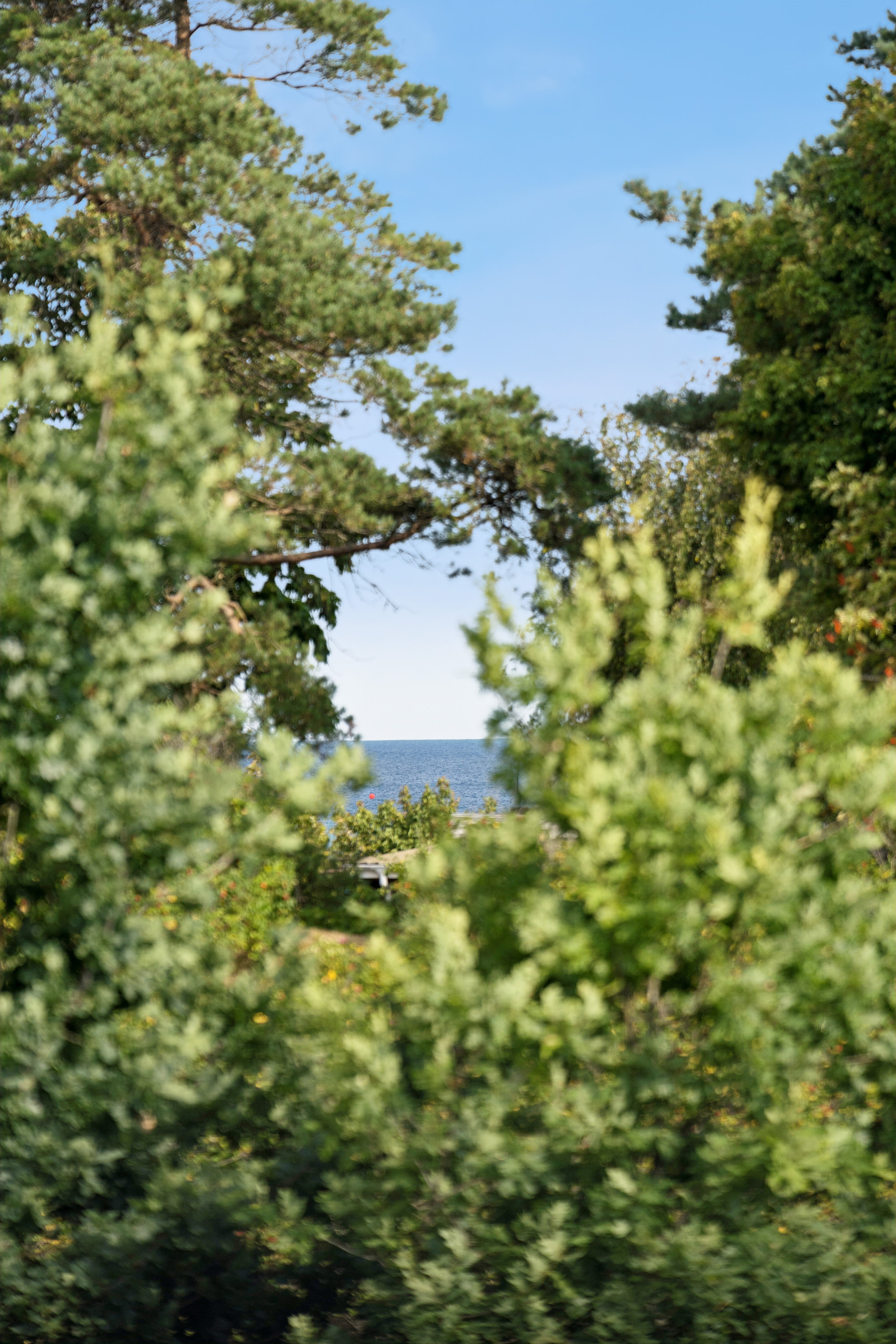 Fremhævet have billede i fuldskærmstilstand. Billede af Møllevangen 30, Bønnerup Strand, 8585 Glesborg