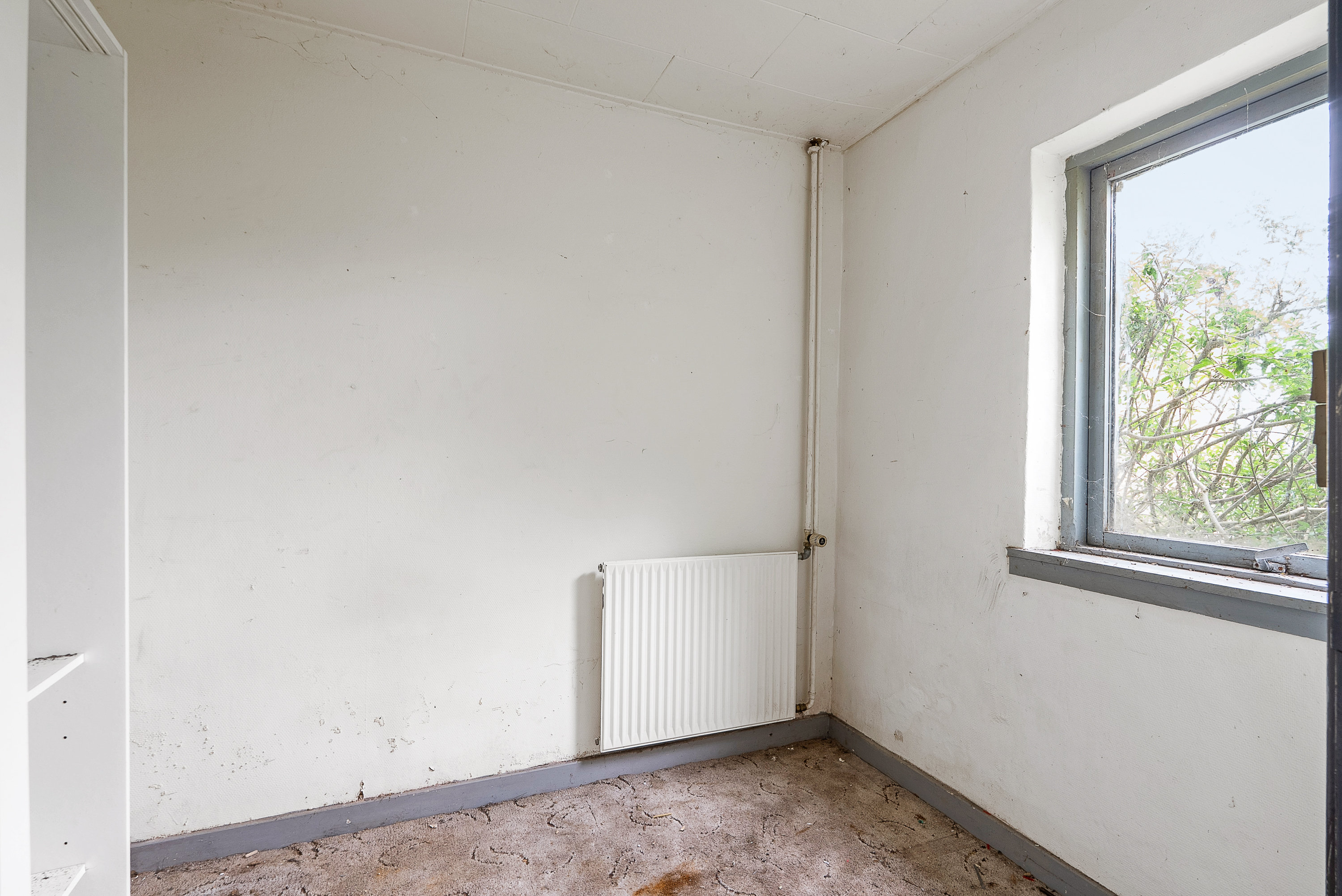 Fremhævet værelse billede i fuldskærmstilstand. Billede af Middelfartvej 444, Blommenslyst, 5491 Blommenslyst
