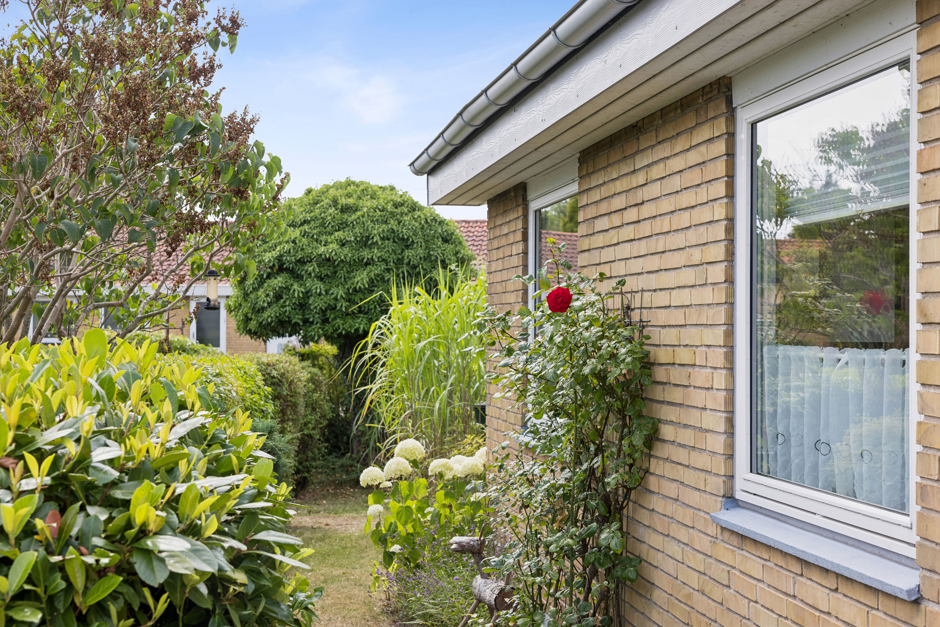Fremhævet udendørs billede i fuldskærmstilstand. Billede af Magnolievænget 1, 5800 Nyborg