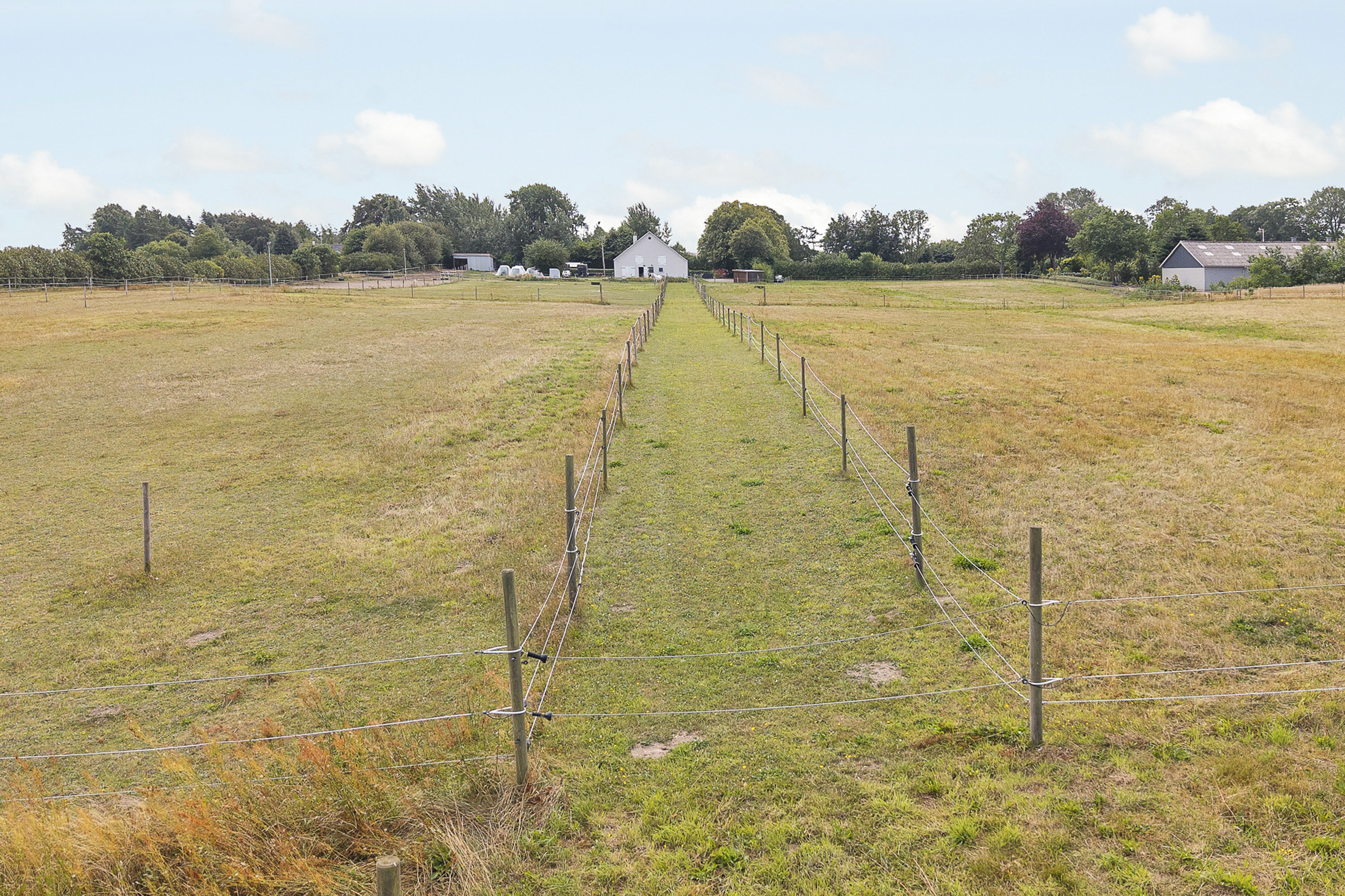 Fremhævet have billede i fuldskærmstilstand. Billede af Espestok 121, Trøstrup, 5210 Odense NV