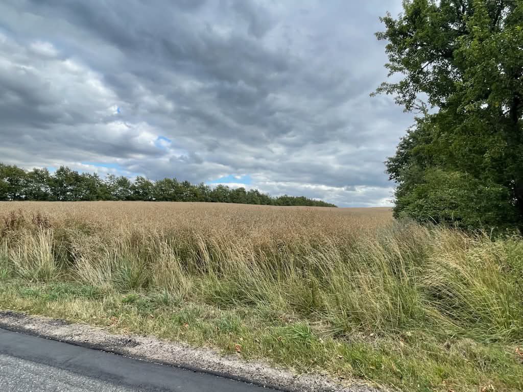 Glenstrup Søvej 53, Glenstrup, 8990 Fårup