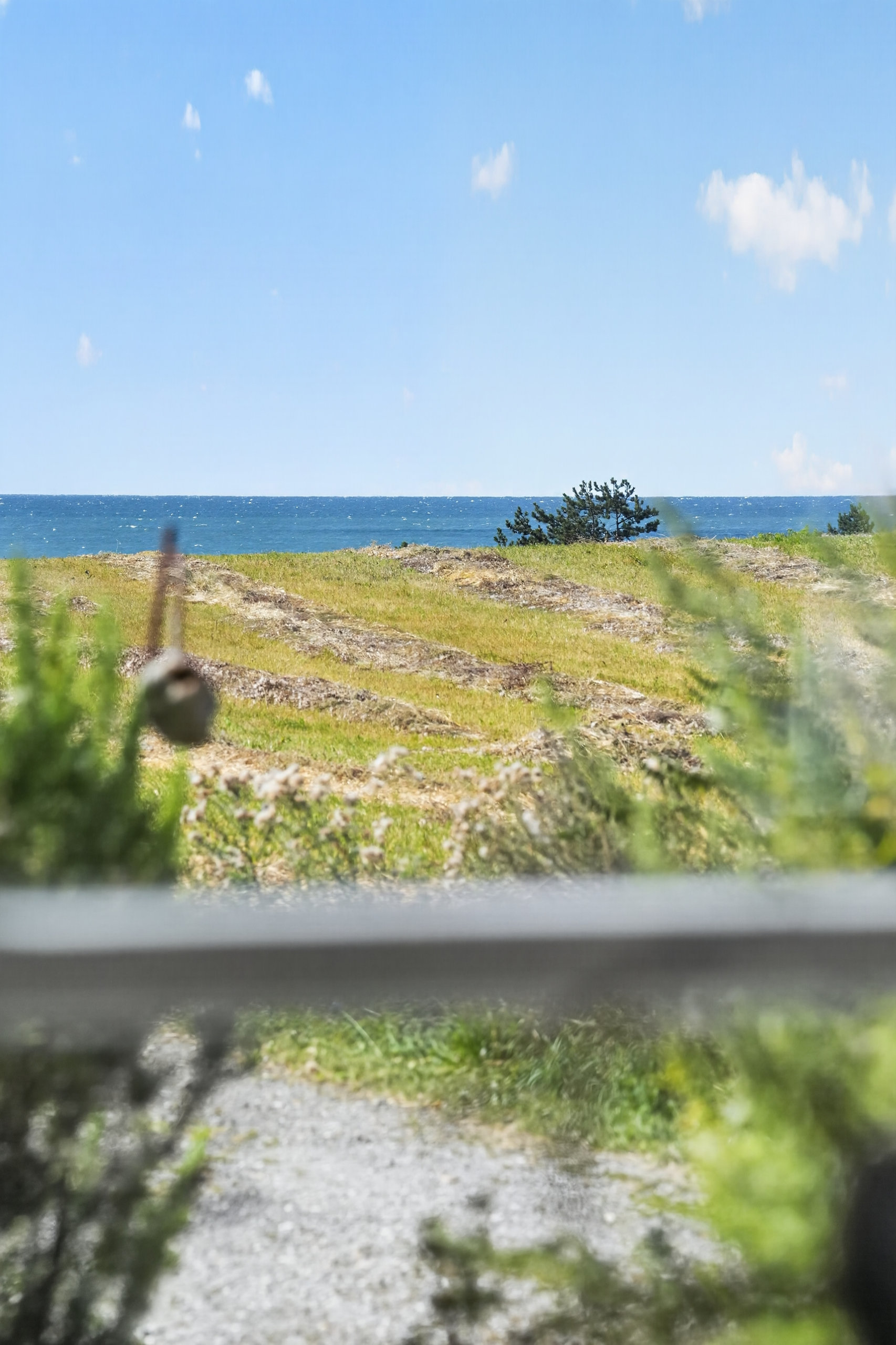 Fremhævet udsigt billede i fuldskærmstilstand. Billede af Østervangsvej 1, Østervang, 4583 Sjællands Odde