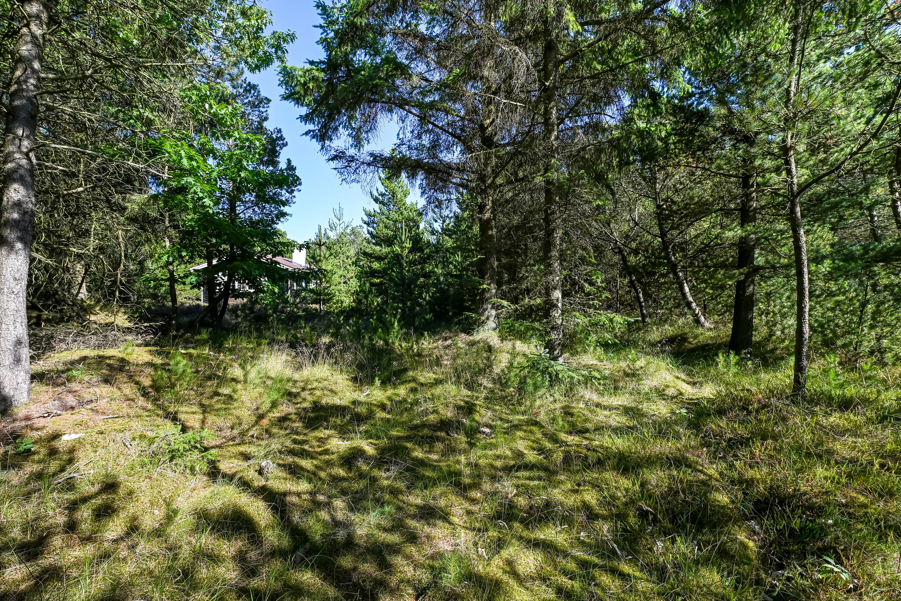 Fremhævet have billede i fuldskærmstilstand. Billede af Lommen 5, 6857 Blåvand
