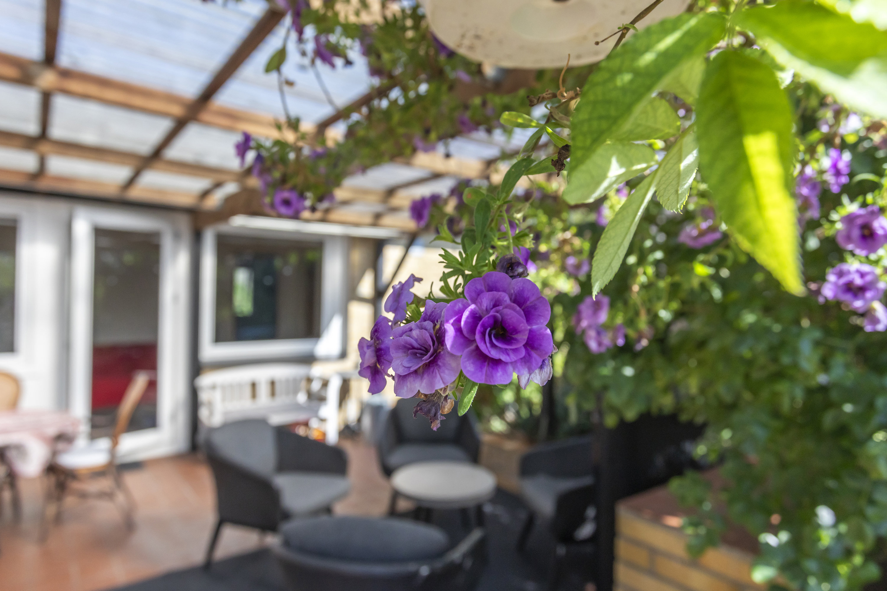 Fremhævet overdækket terrasse billede i fuldskærmstilstand. Billede af Brandsbyvej 22, 2740 Skovlunde