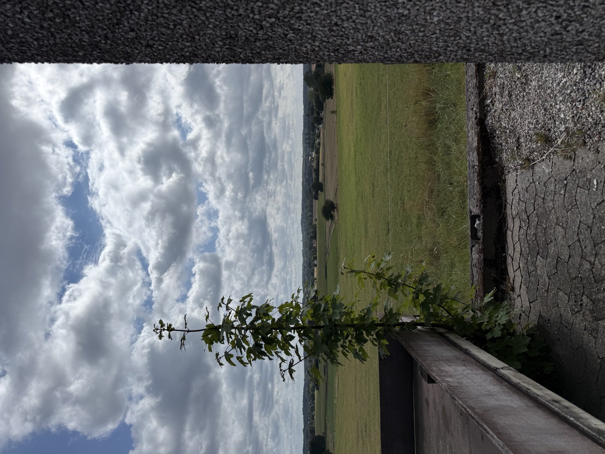 Dragstrup Enghave 6, Dragstrup, 3250 Gilleleje
