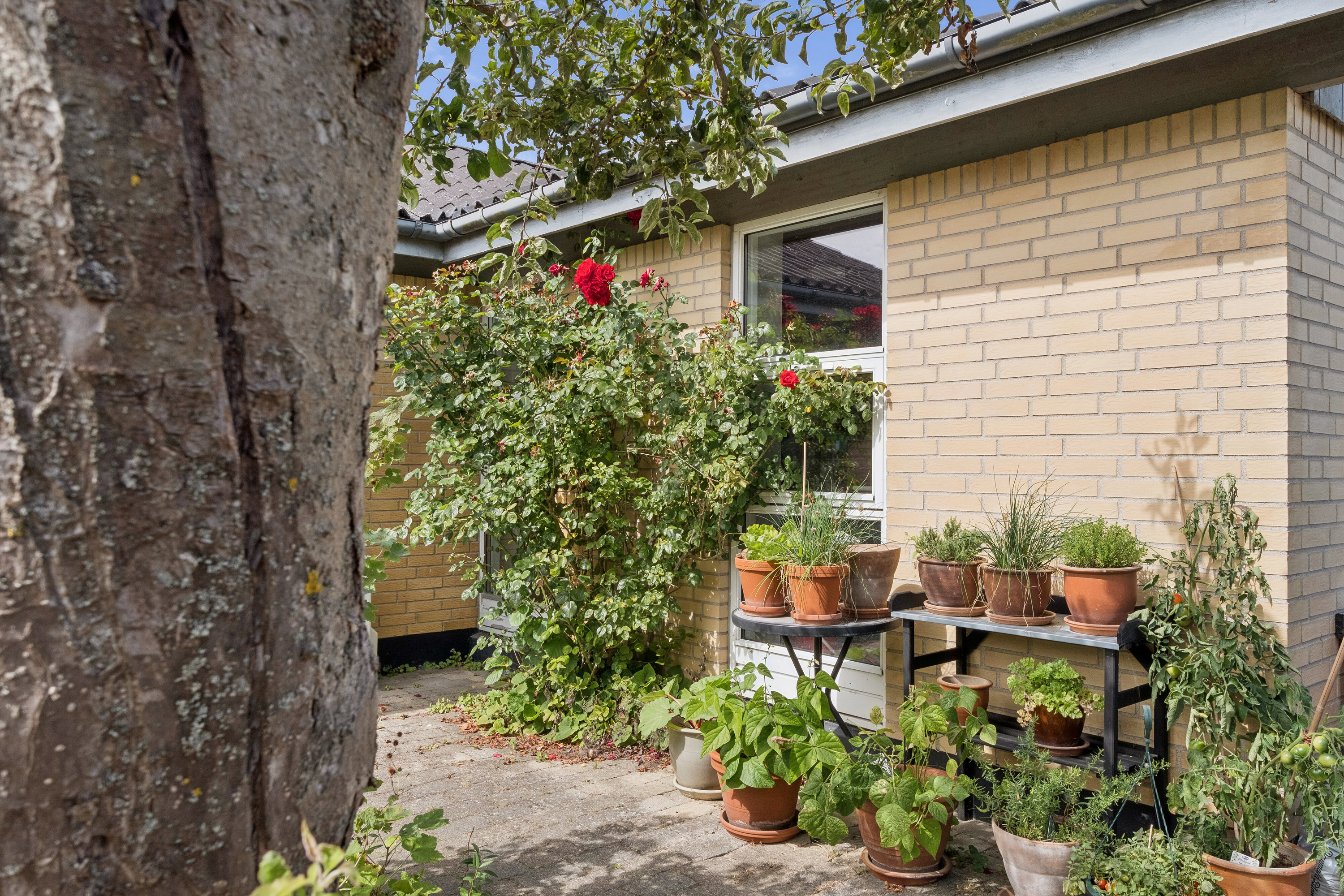 Fremhævet terrasse billede i fuldskærmstilstand. Billede af P C Skovgaards Vej 10, 4760 Vordingborg