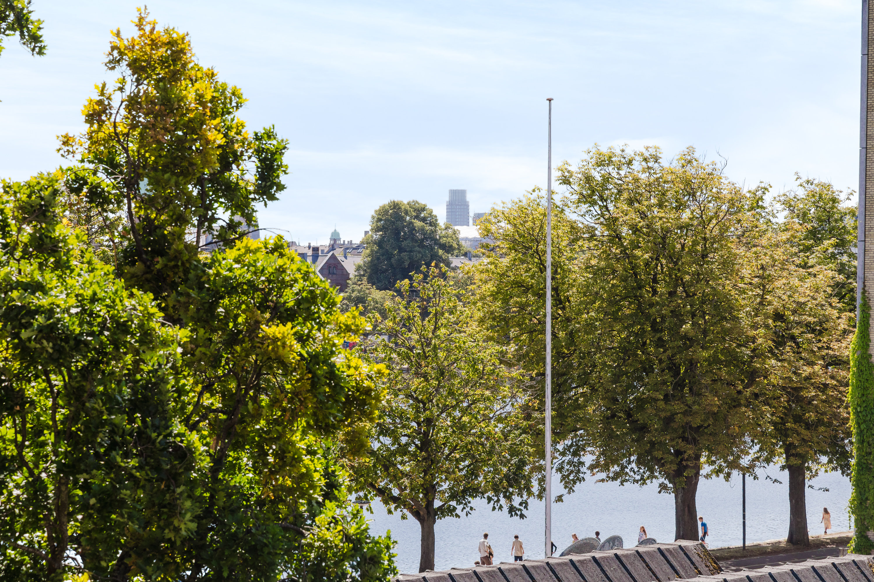 Fremhævet andet billede i fuldskærmstilstand. Billede af Sortedam Dossering 41C, 3. mf., 2200 København N
