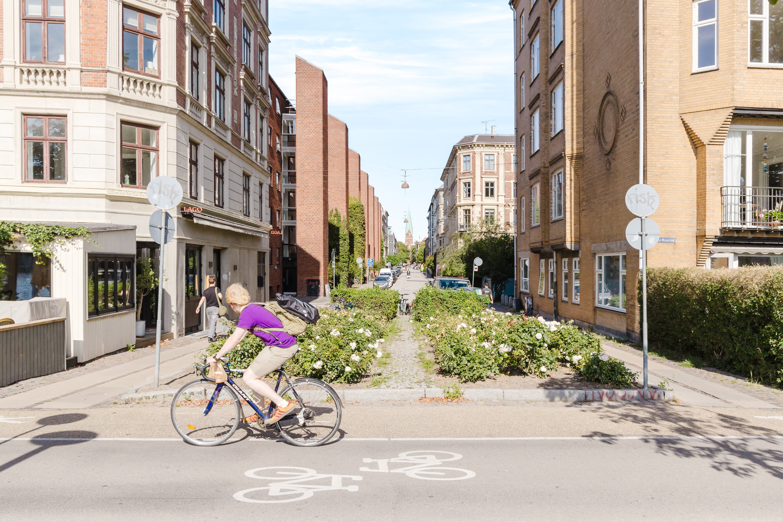Fremhævet andet billede i fuldskærmstilstand. Billede af Blågårdsgade 26, 1. 9., 2200 København N
