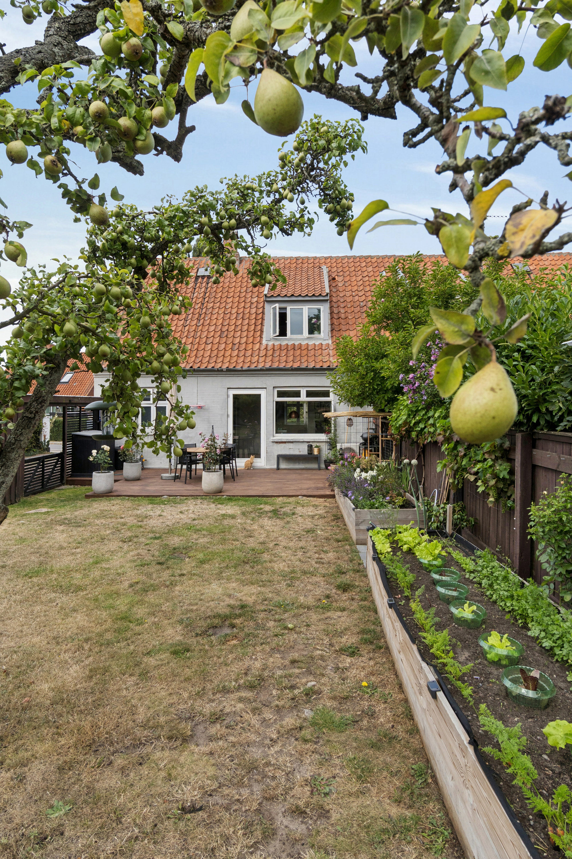 Fremhævet set fra haven billede i fuldskærmstilstand. Billede af Byledsgade 82, Rønne, 3700 Rønne