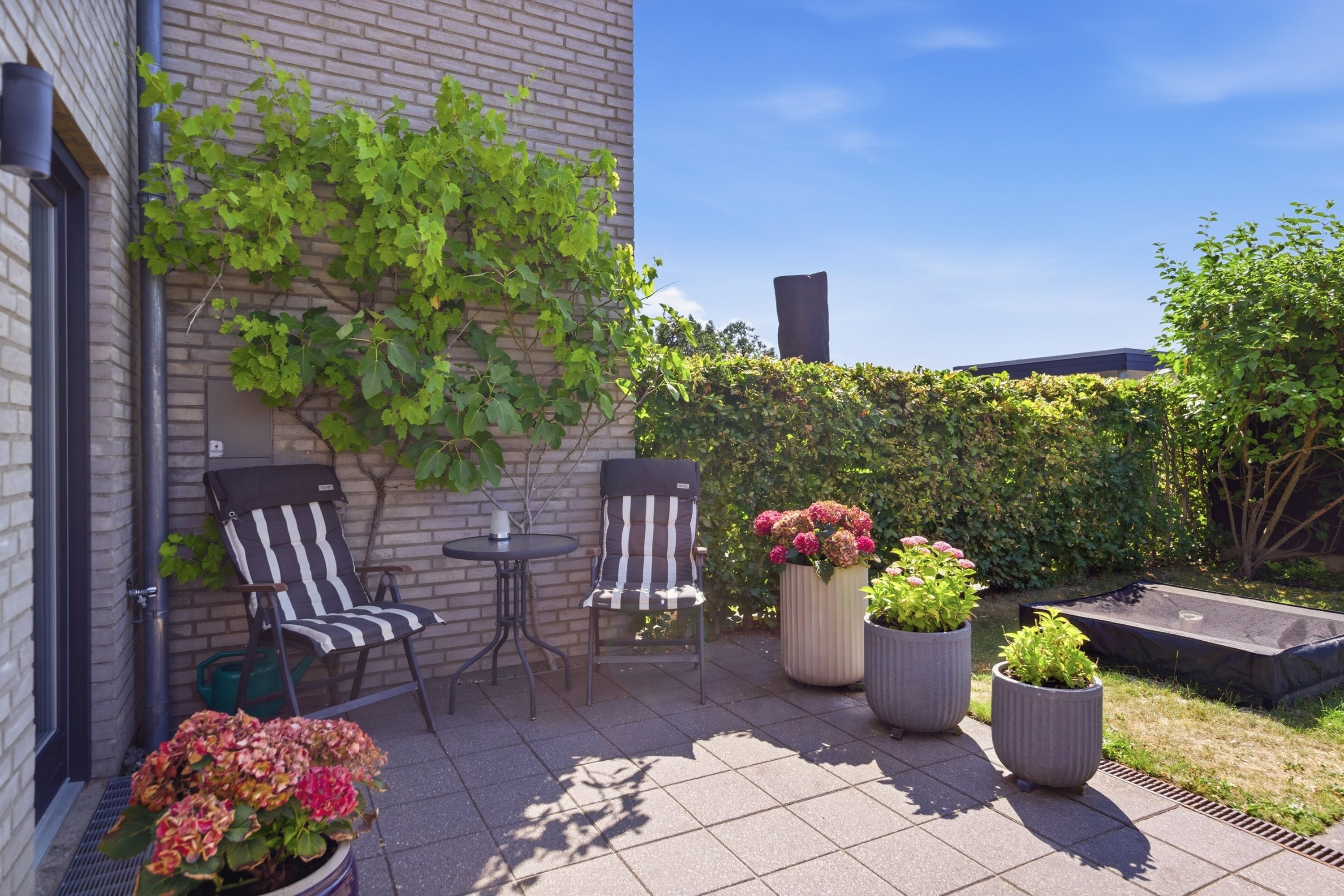 Fremhævet terrasse billede i fuldskærmstilstand. Billede af Fredensborgparken 135, Stavtrup, 8260 Viby J