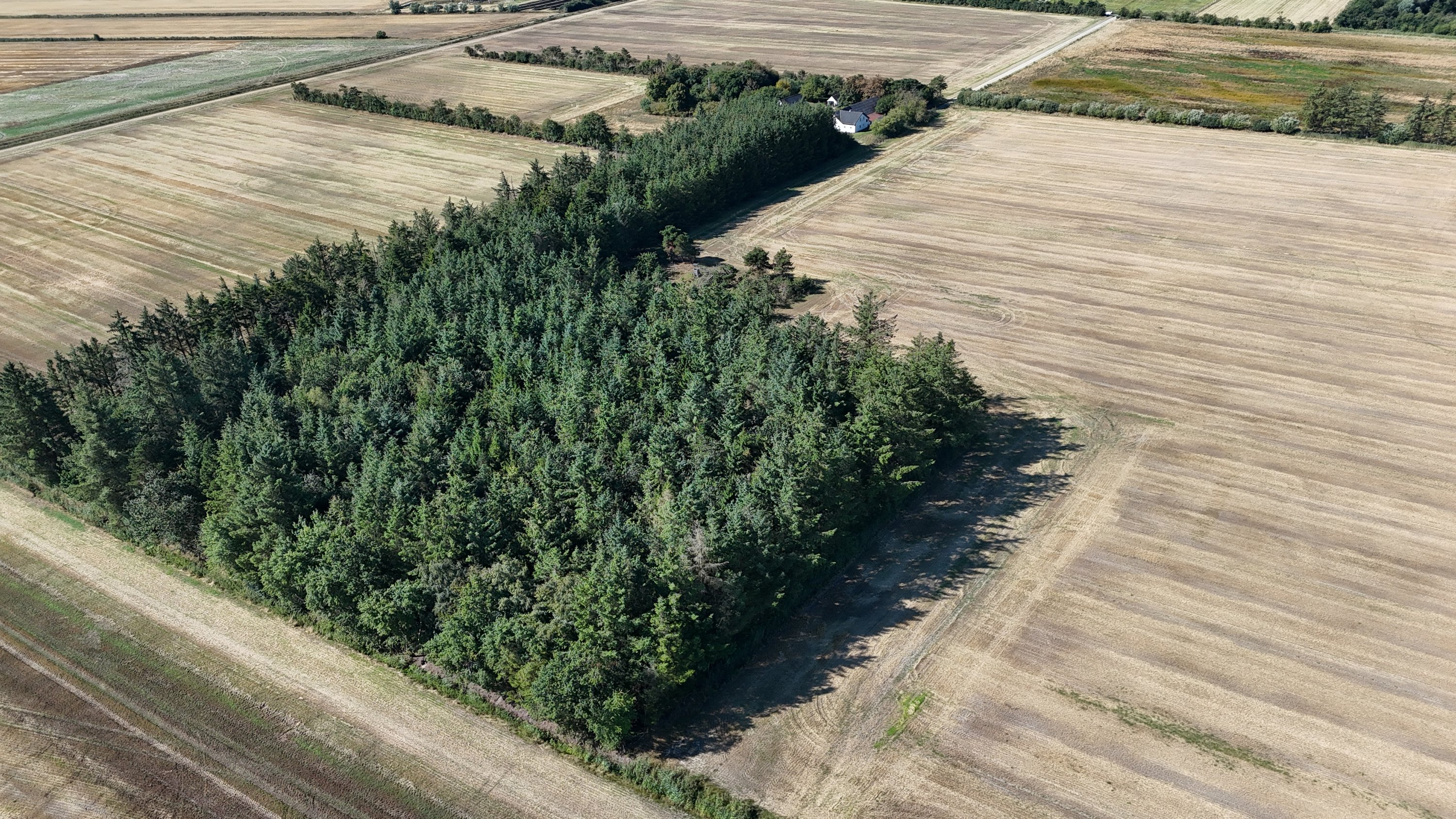 Fremhævet  billede i fuldskærmstilstand. Billede af Fristrup Kærvej 38, Birkelse, 9440 Aabybro