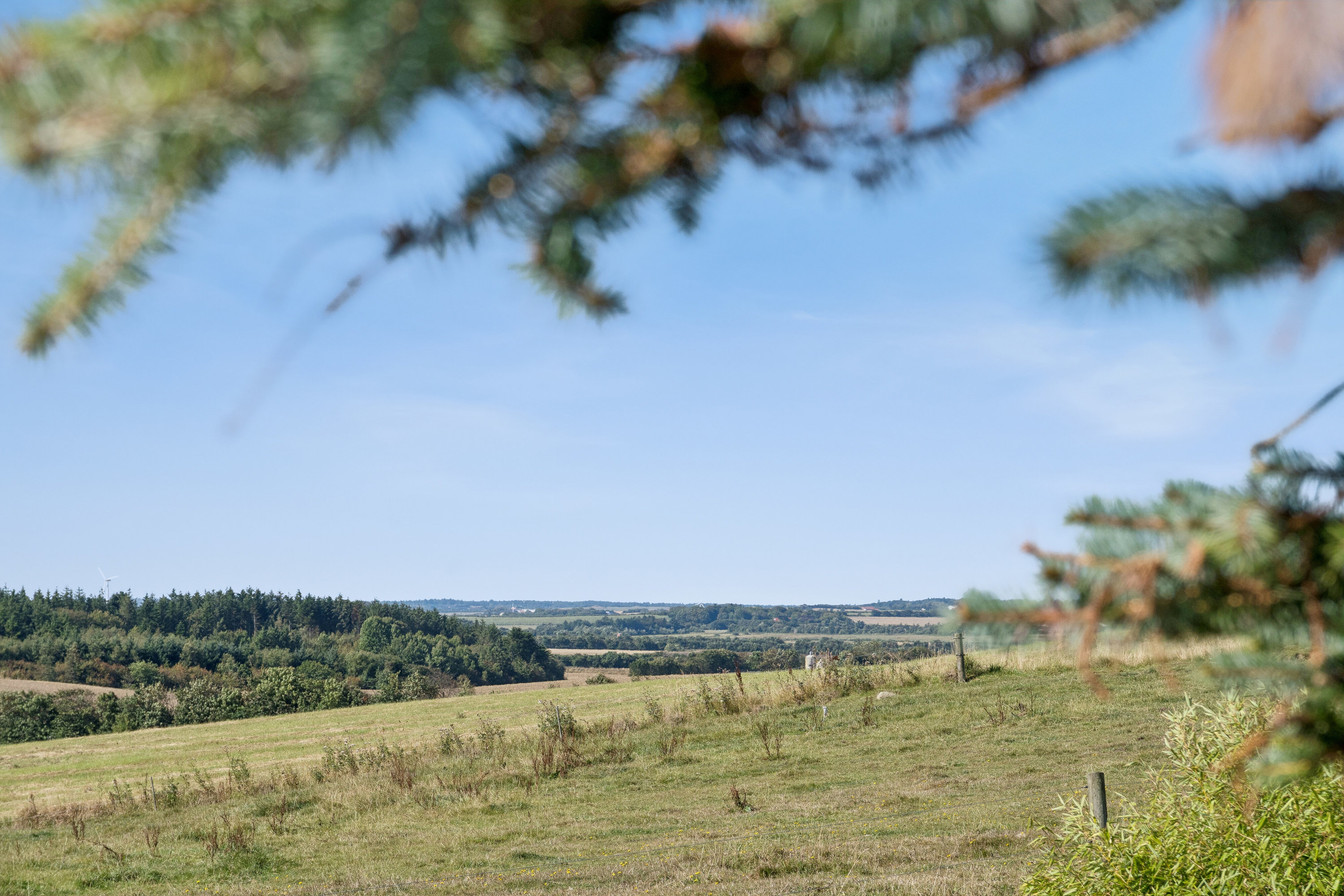 Grandetoften 8, Kallerup, 7700 Thisted
