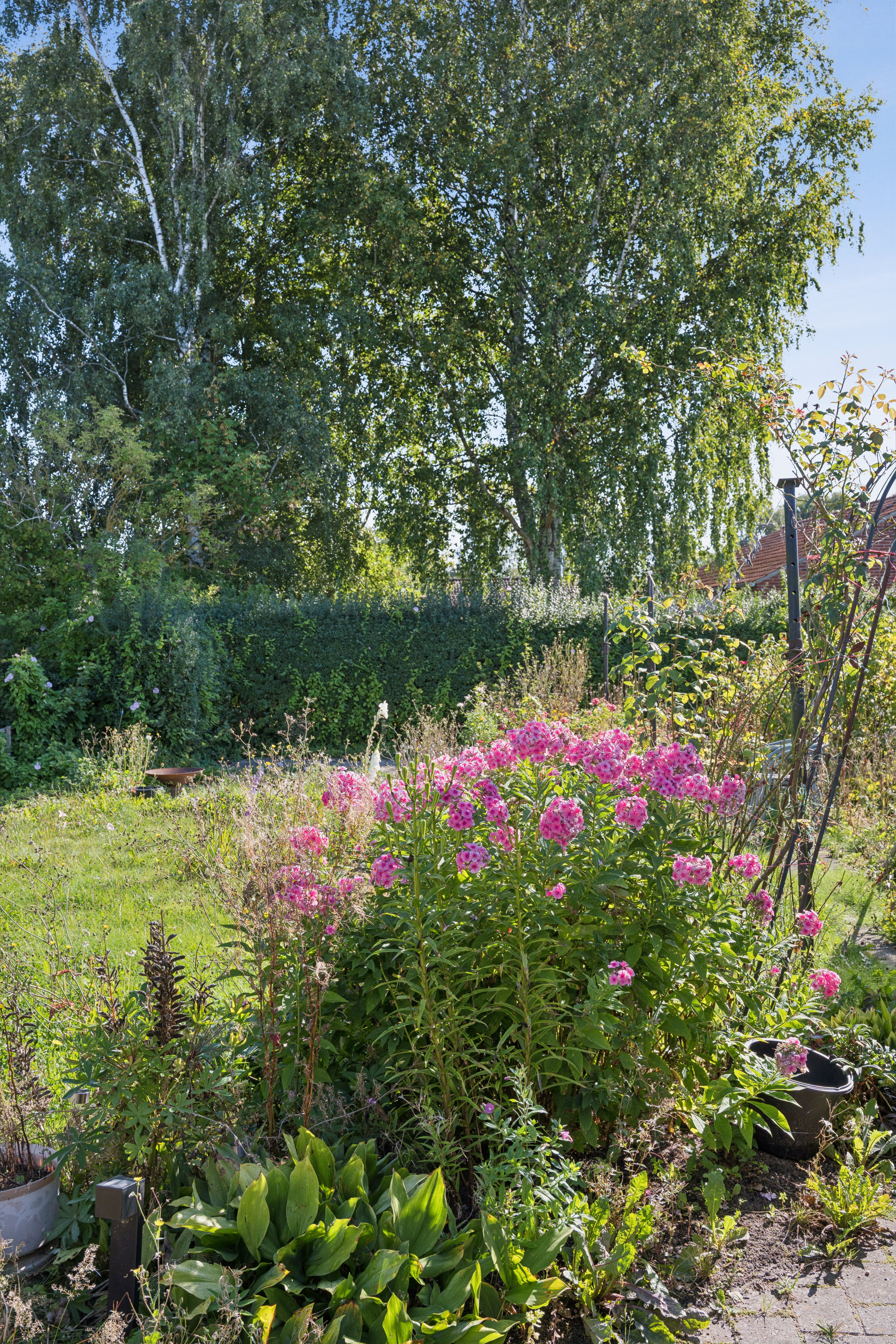 Fremhævet have billede i fuldskærmstilstand. Billede af Nygade 10, 8961 Allingåbro