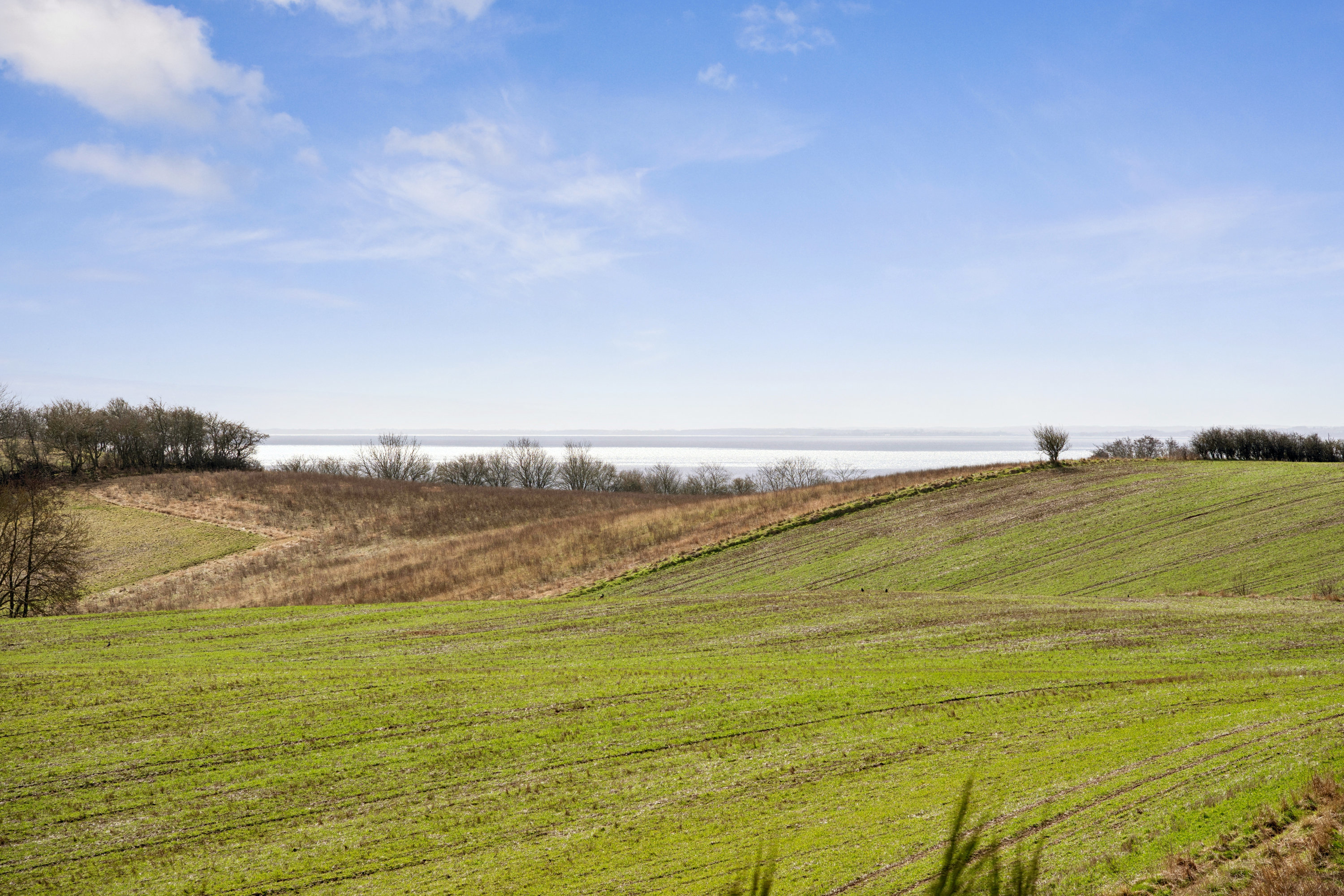 Skovsangervej 3, Fuglsø, 8420 Knebel