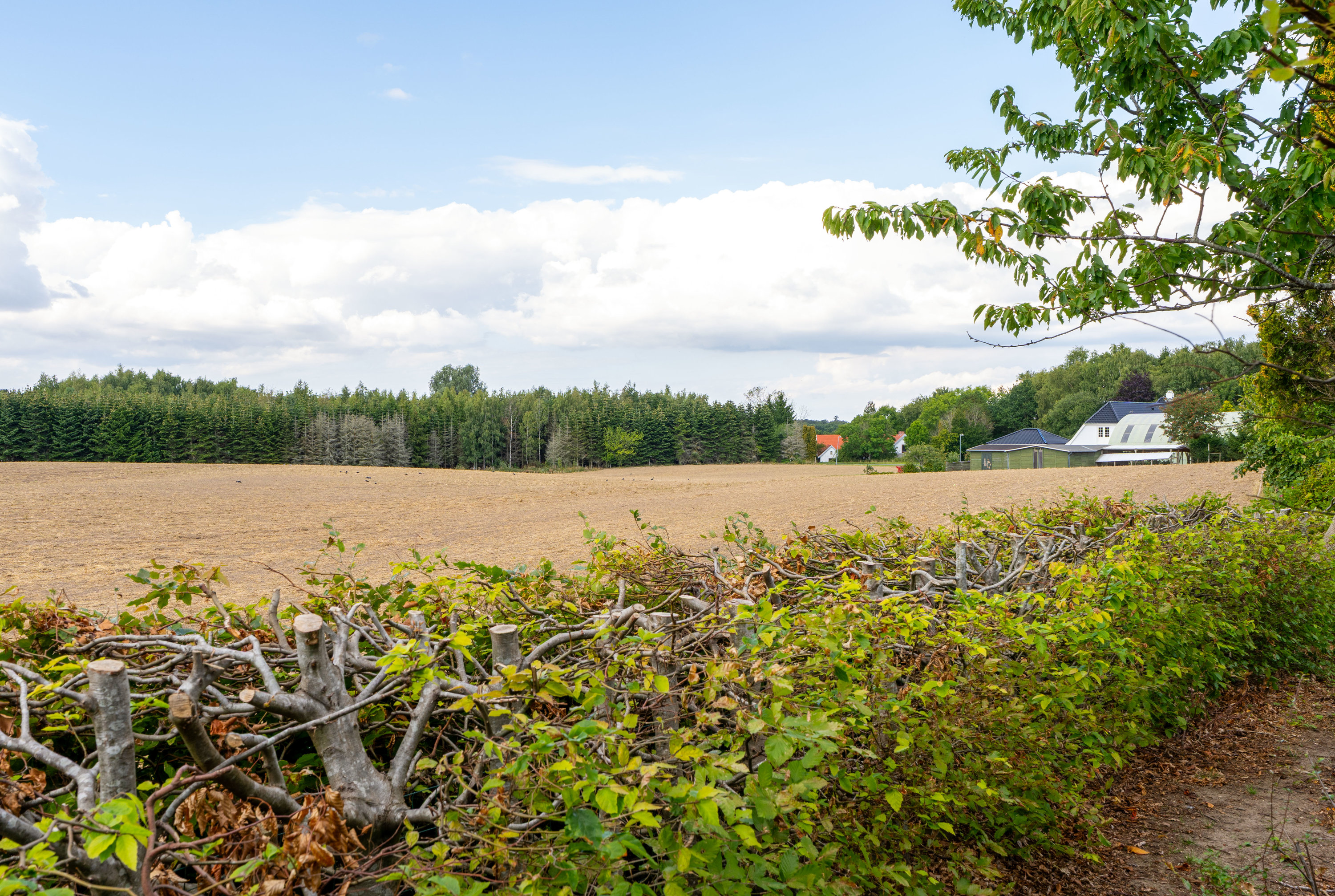 Fremhævet udsigt billede i fuldskærmstilstand. Billede af Fredensborgvej 57, 3400 Hillerød