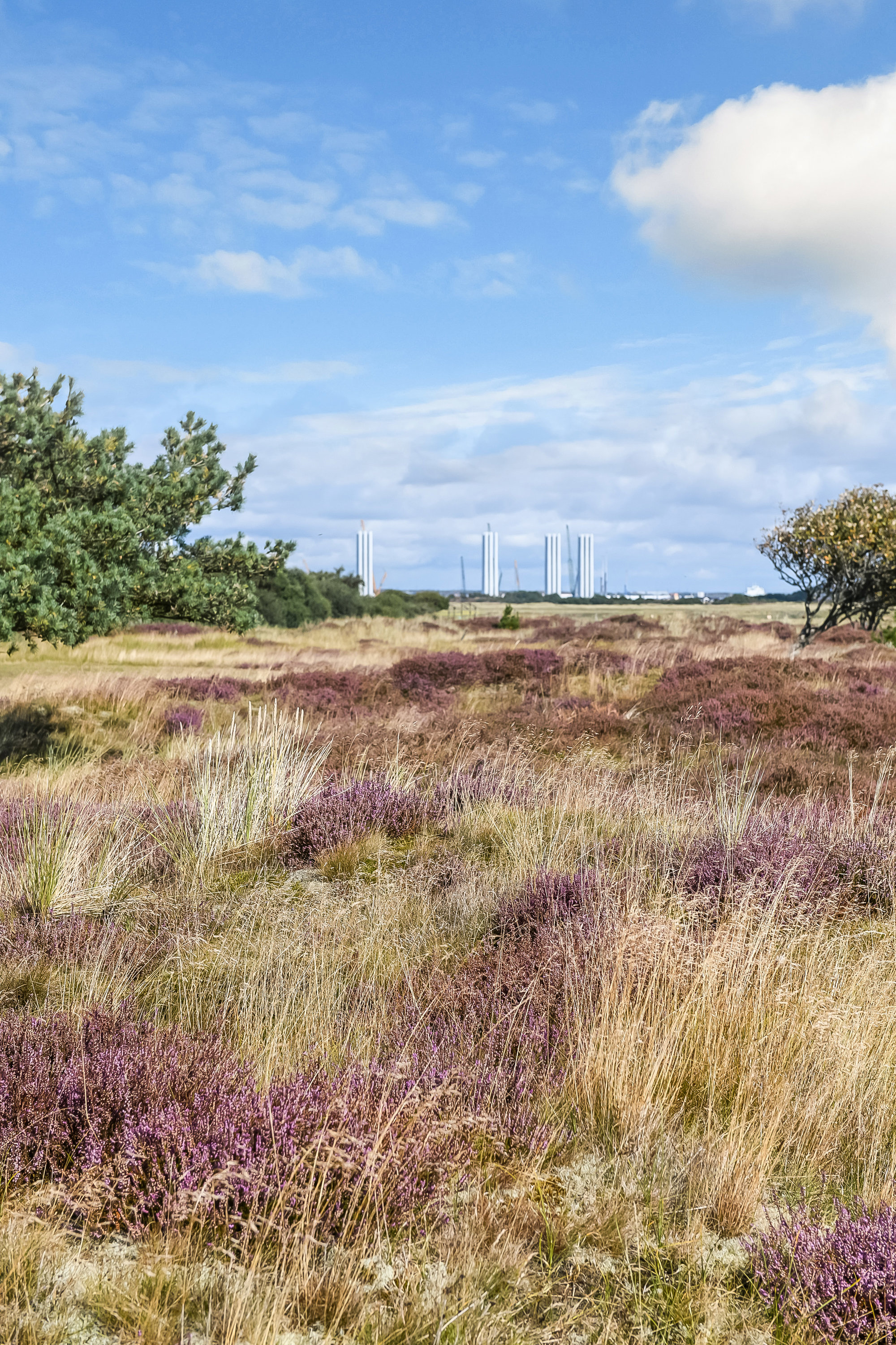 Hæsset 5, Rindby, 6720 Fanø