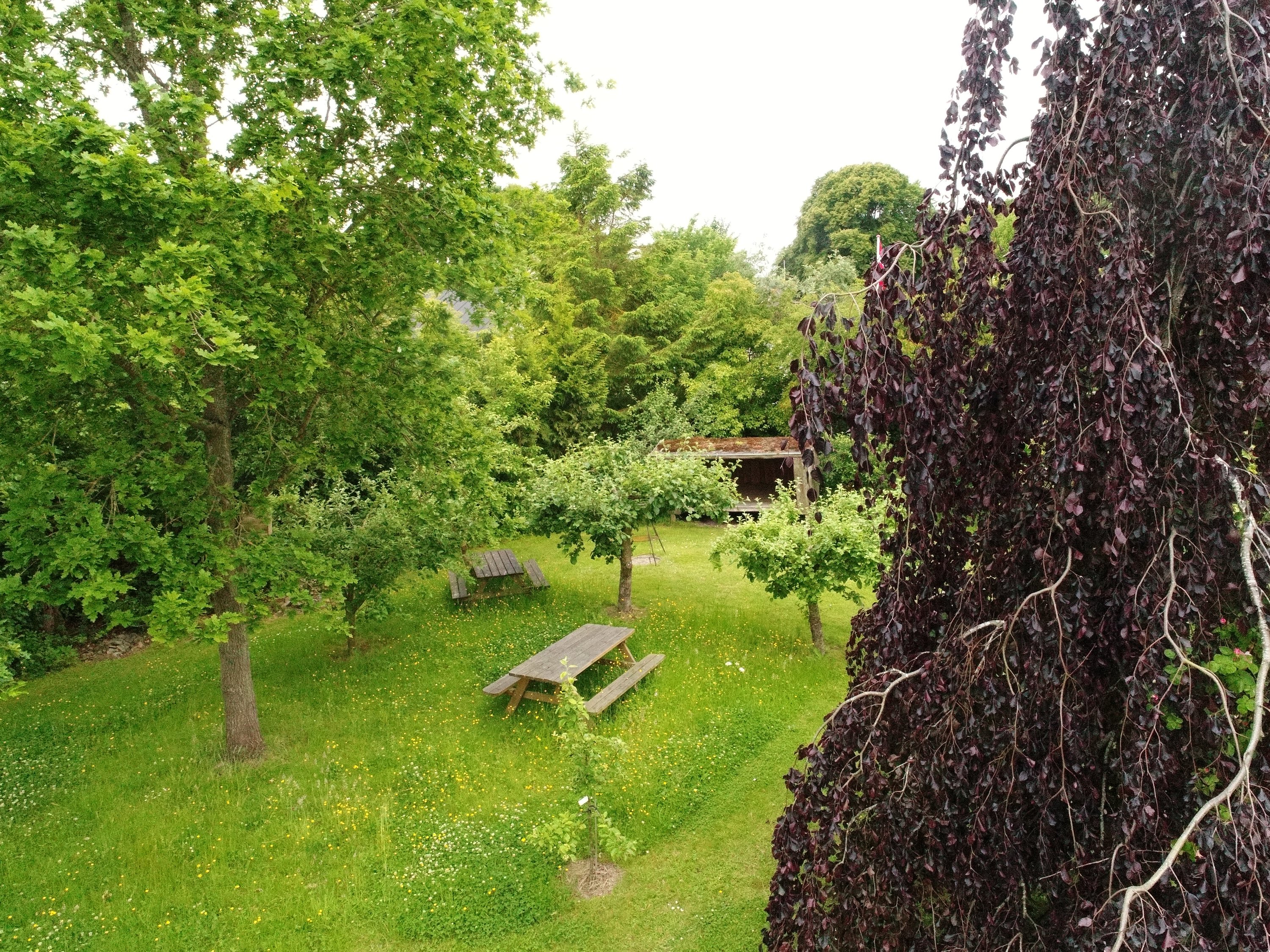 Fremhævet  billede i fuldskærmstilstand. Billede af Balevej 1, Ommestrup, 8544 Mørke