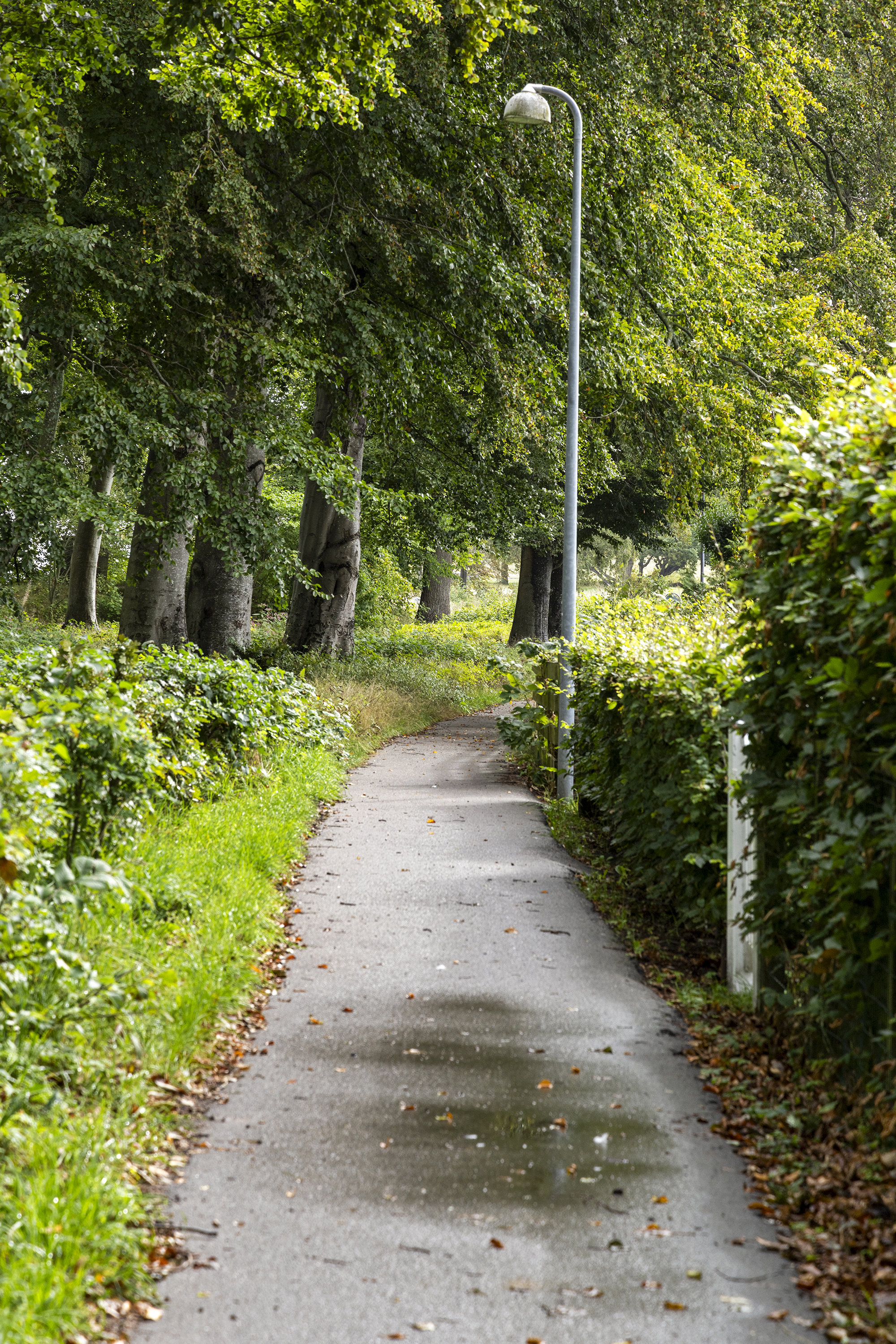 Fremhævet område billede i fuldskærmstilstand. Billede af Østre Alle 23B, 3250 Gilleleje