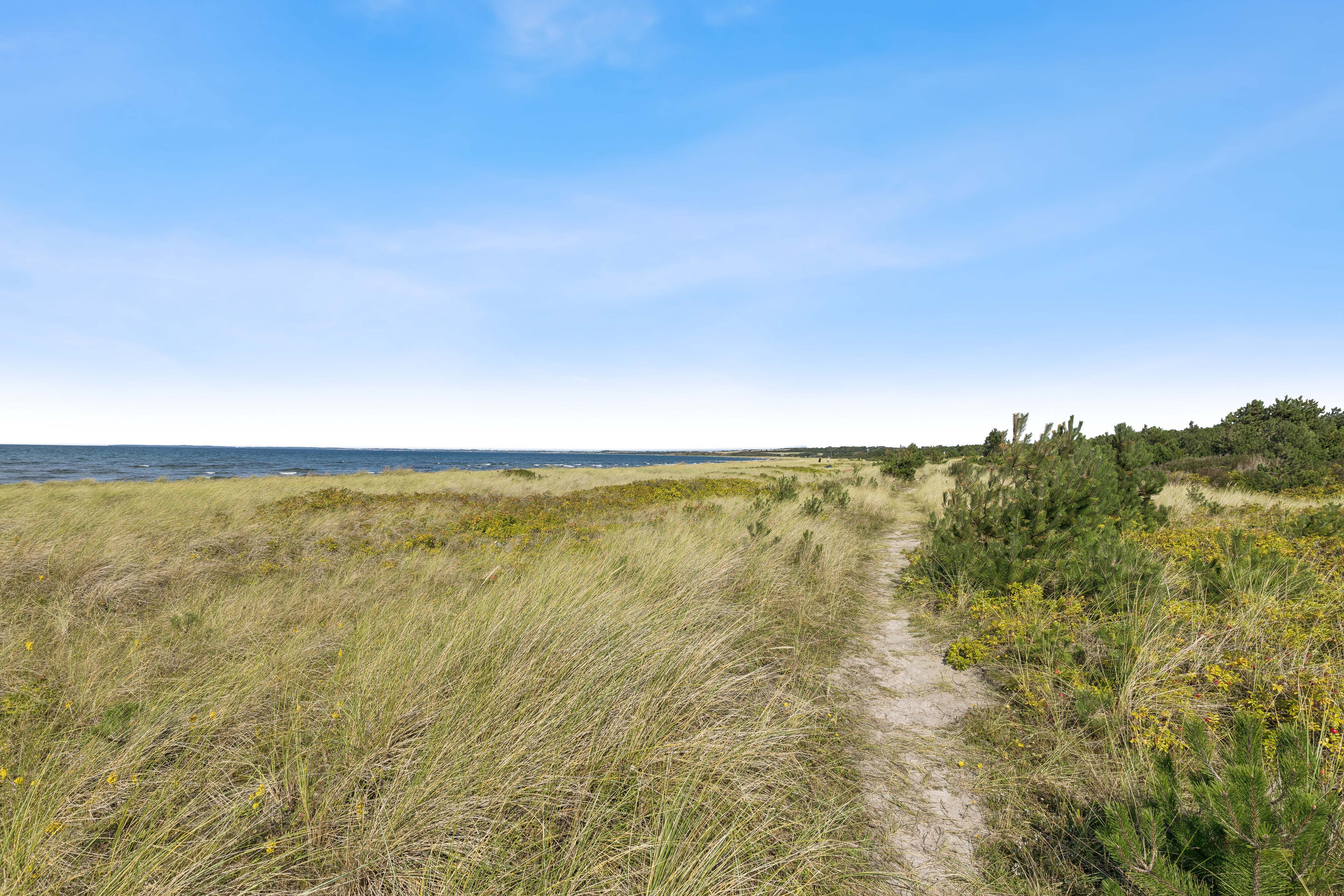 Fremhævet omgivelser billede i fuldskærmstilstand. Billede af Fredskovvej Øst 2, Bjerge Sydstrand, 4480 Store Fuglede