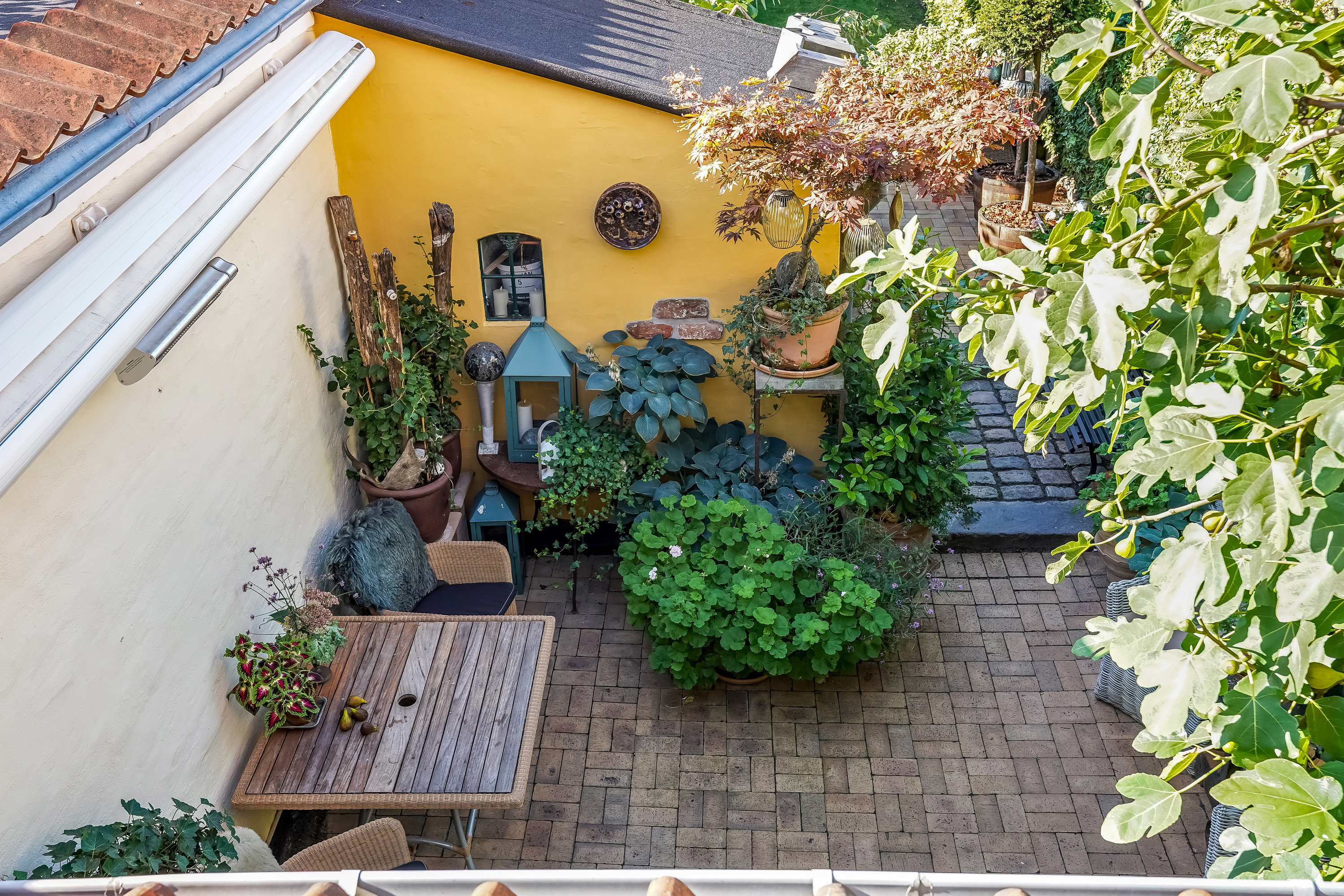 Fremhævet terrasse billede i fuldskærmstilstand. Billede af Gl Vestergade 36, 5500 Middelfart