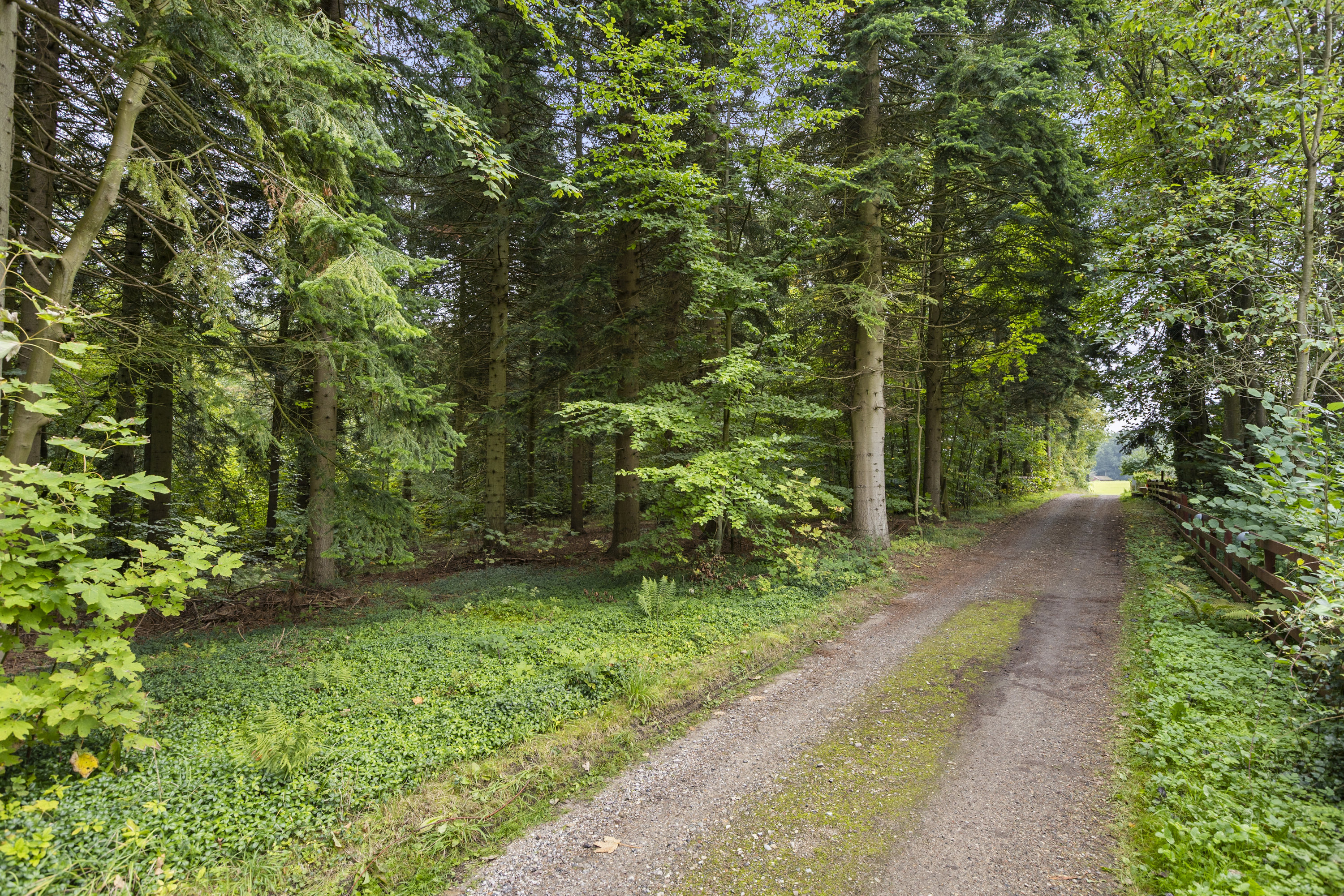 Hedeborydevej 32, 4293 Dianalund