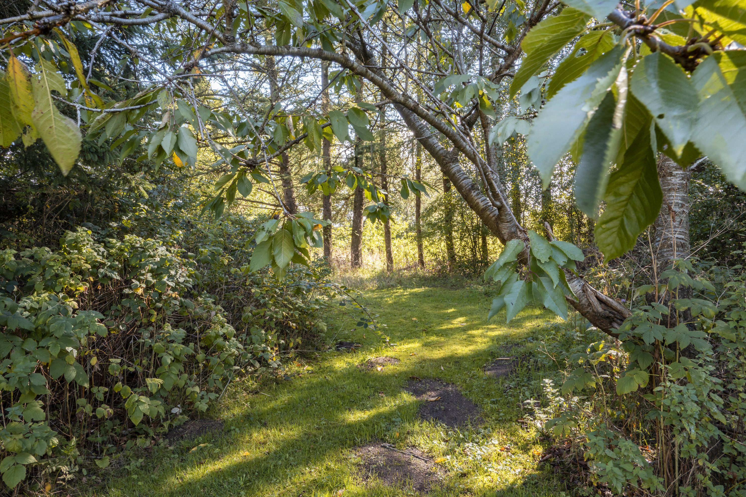 Abkærvej 29, Over Jerstal, 6500 Vojens