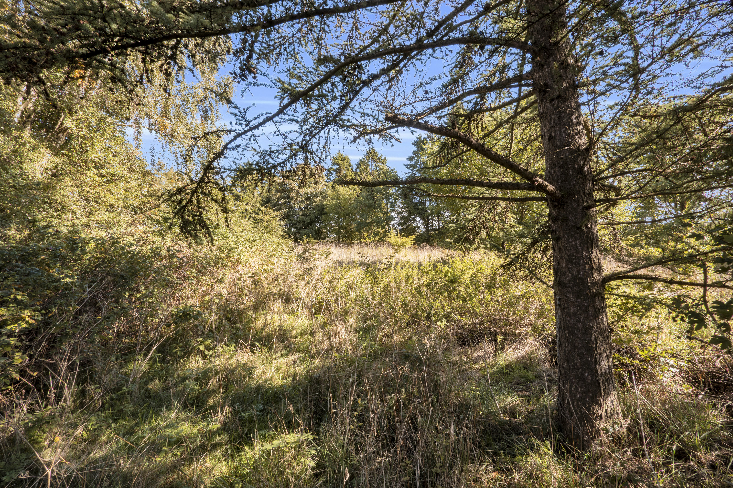 Fremhævet  billede i fuldskærmstilstand. Billede af Abkærvej 29, Over Jerstal, 6500 Vojens