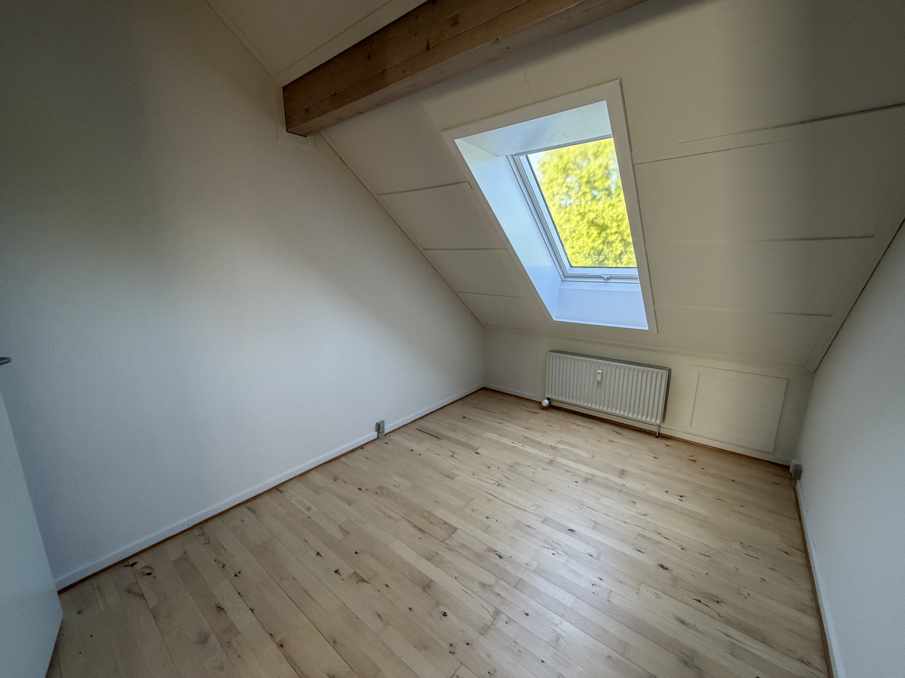 Fremhævet  billede i fuldskærmstilstand. Billede af Falen 55F, 5000 Odense C