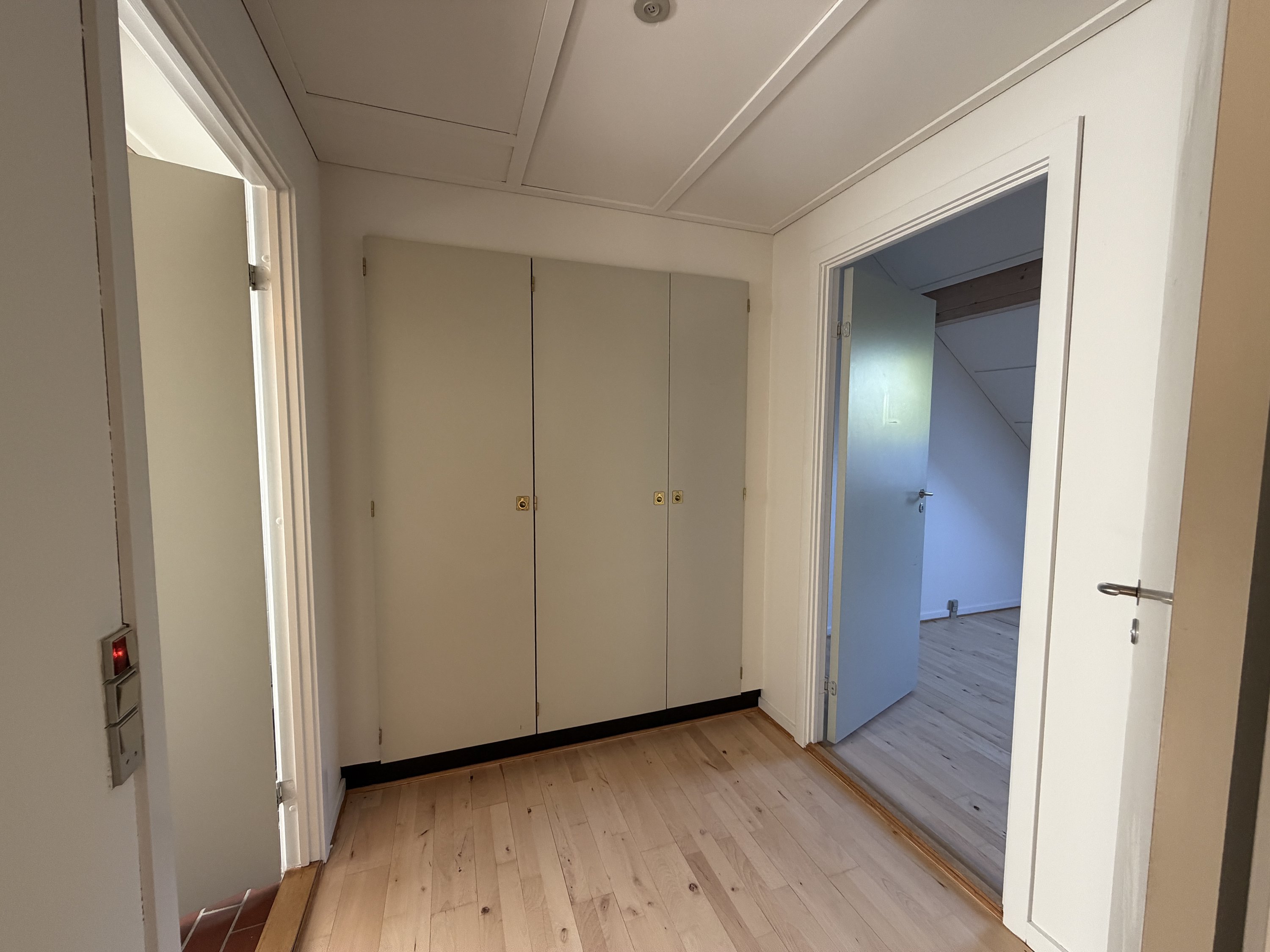 Fremhævet  billede i fuldskærmstilstand. Billede af Falen 55F, 5000 Odense C