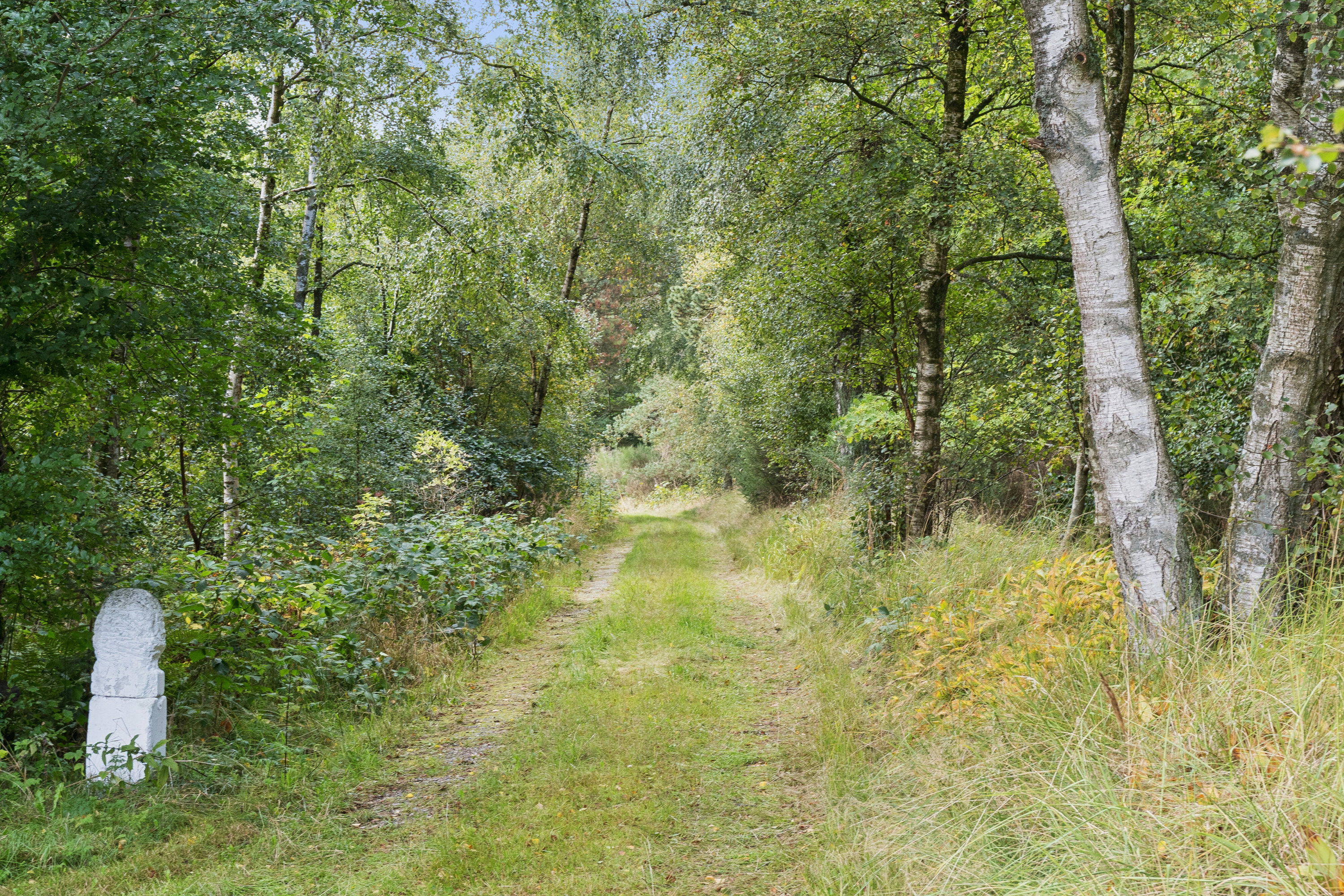 Fremhævet udsigt billede i fuldskærmstilstand. Billede af Tolstrupvej 8, Uggerby, 9800 Hjørring