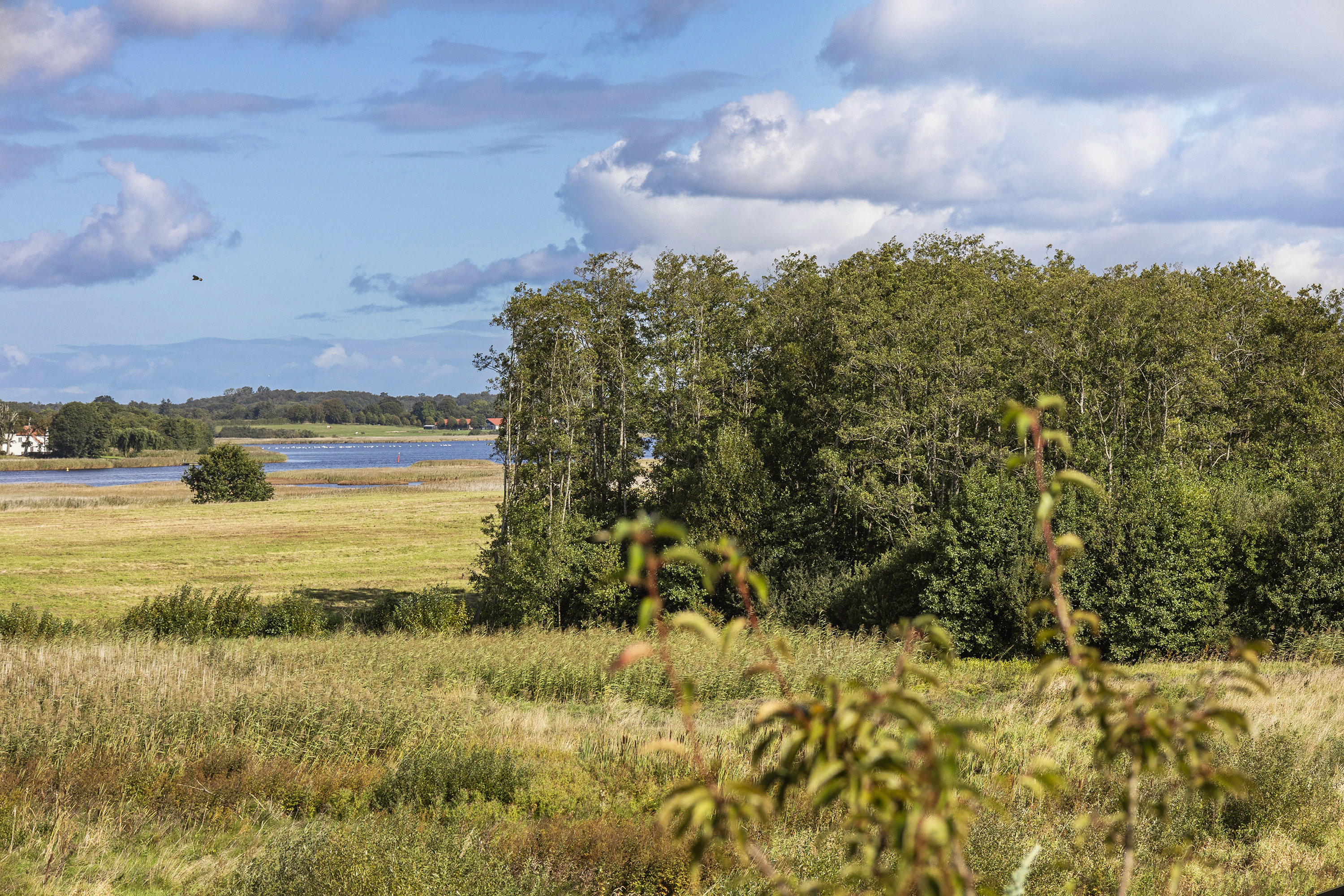Fremhævet område billede i fuldskærmstilstand. Billede af Fjordglimt 26, Starup, 6100 Haderslev