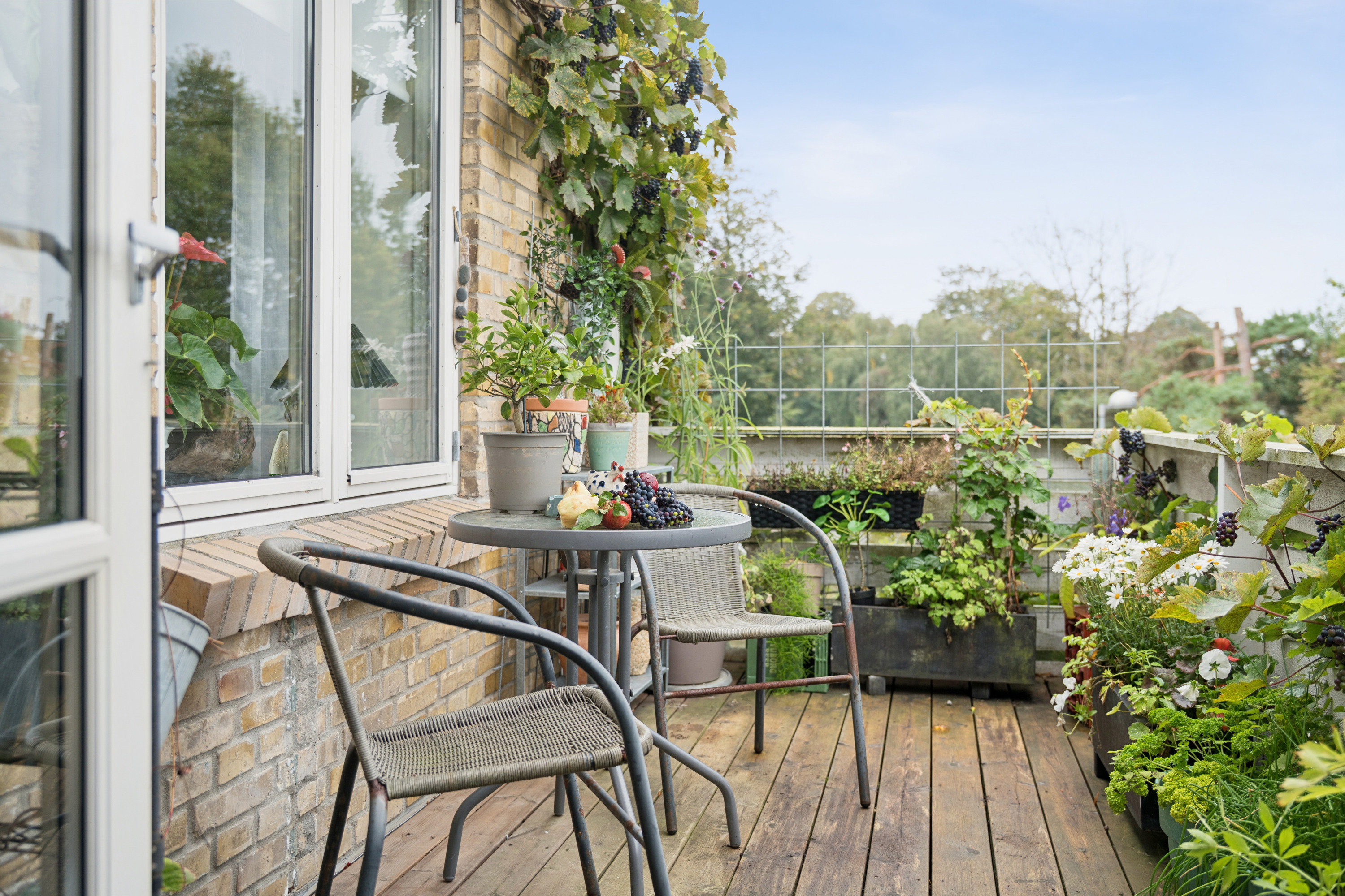 Fremhævet terrasse billede i fuldskærmstilstand. Billede af Hasserisvej 147, 1., Hasseris, 9000 Aalborg