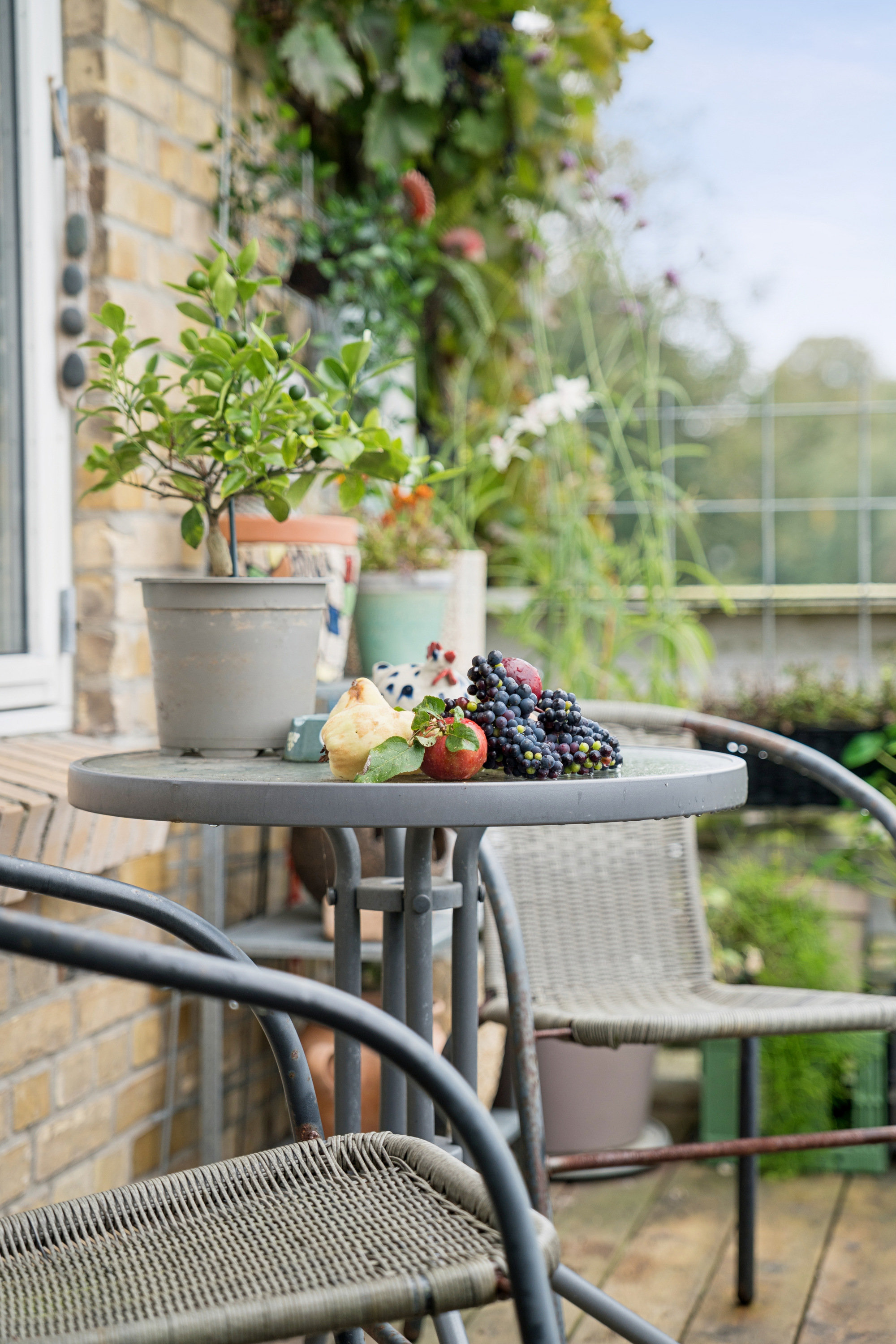 Fremhævet terrasse billede i fuldskærmstilstand. Billede af Hasserisvej 147, 1., Hasseris, 9000 Aalborg