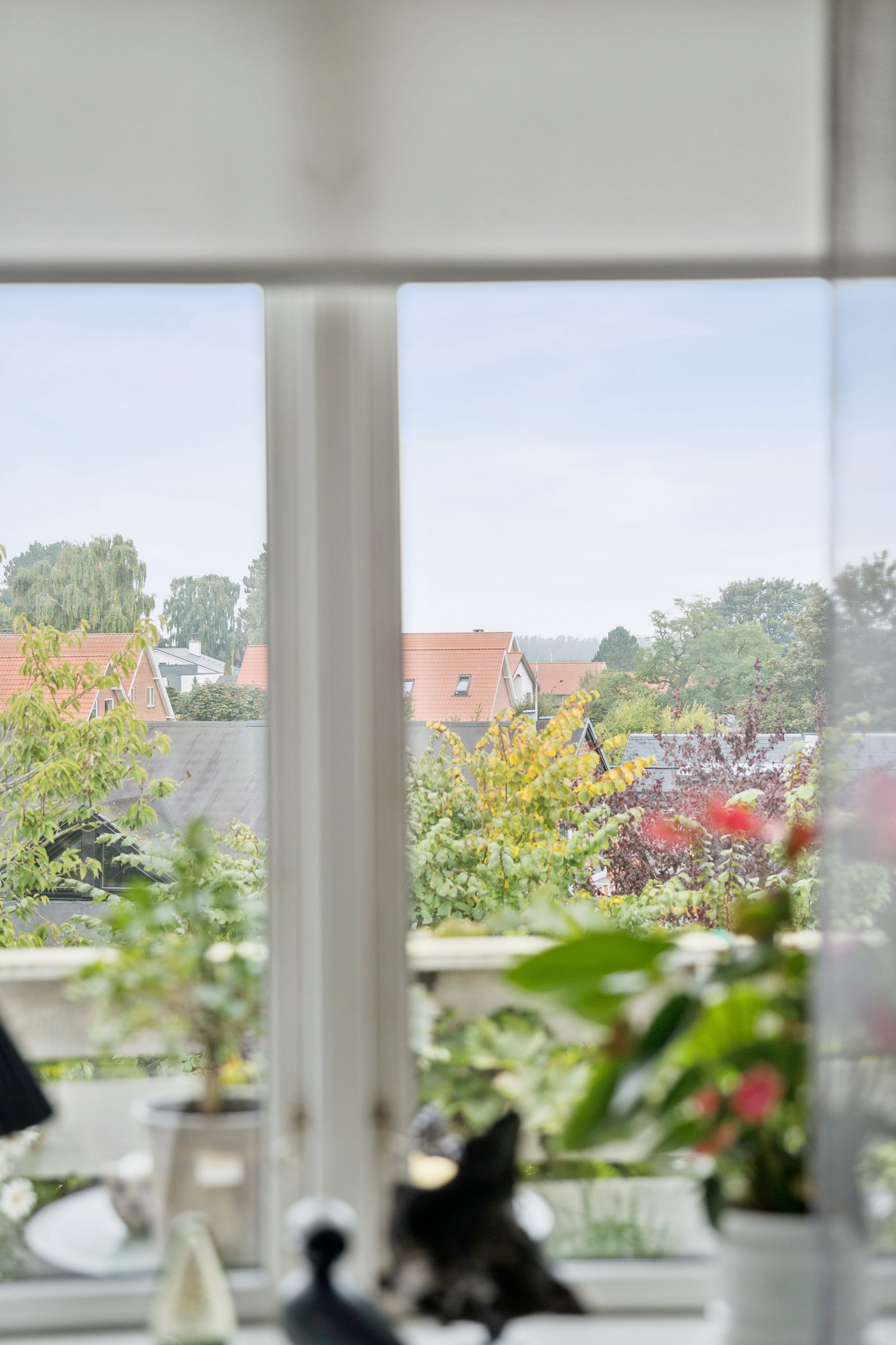 Fremhævet udsigt billede i fuldskærmstilstand. Billede af Hasserisvej 147, 1., Hasseris, 9000 Aalborg