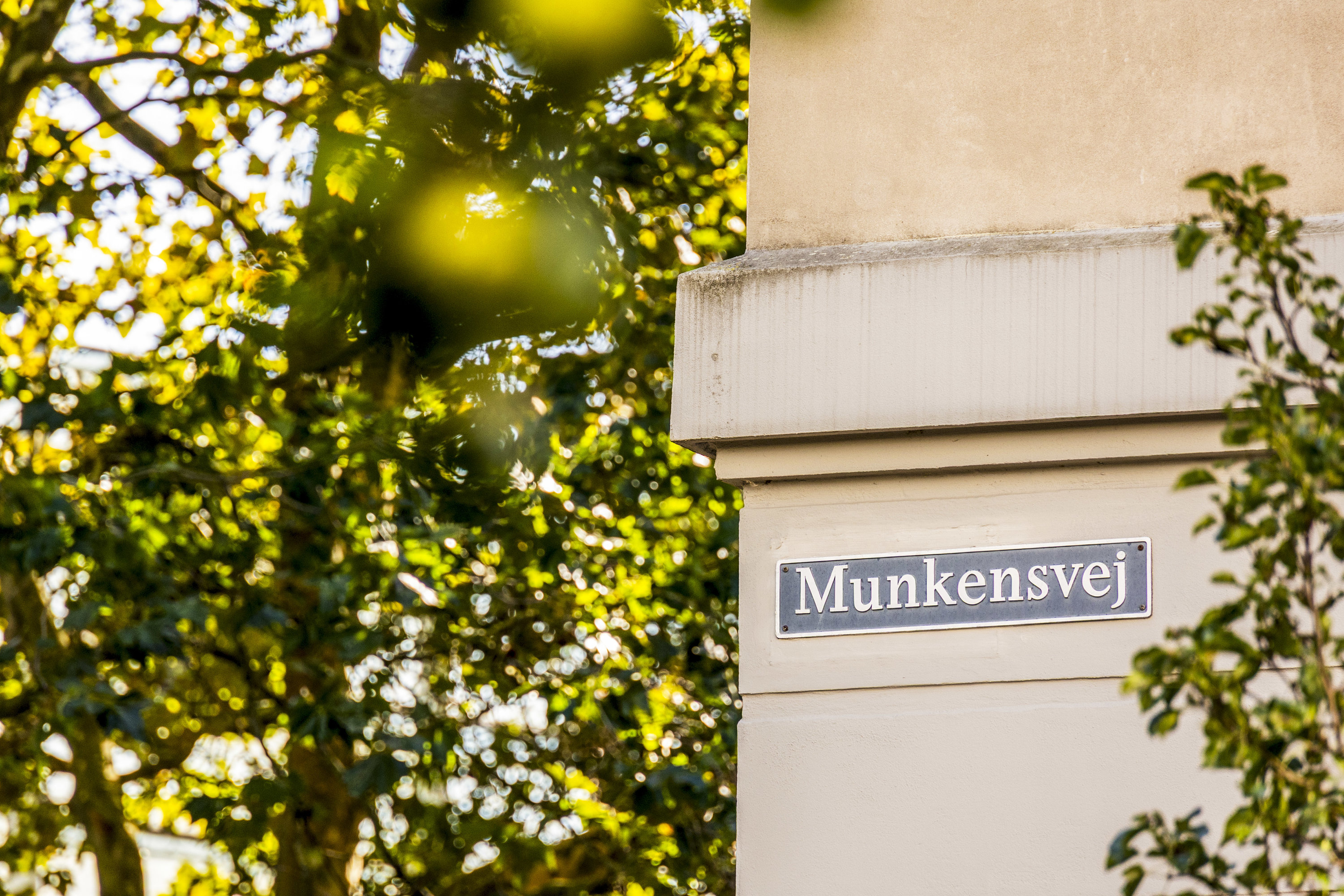 Fremhævet  billede i fuldskærmstilstand. Billede af Munkensvej 12, 4. tv., 2000 Frederiksberg