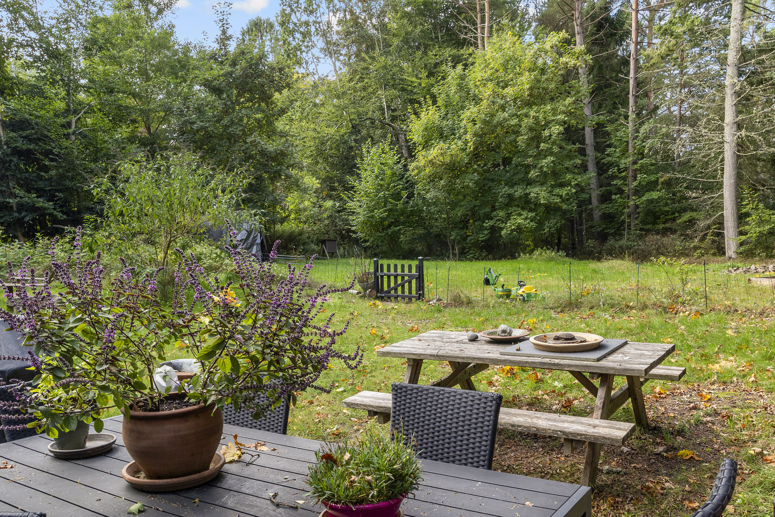 Fremhævet terrasse billede i fuldskærmstilstand. Billede af Rigmor Stampes Vej 5B, 3220 Tisvildeleje