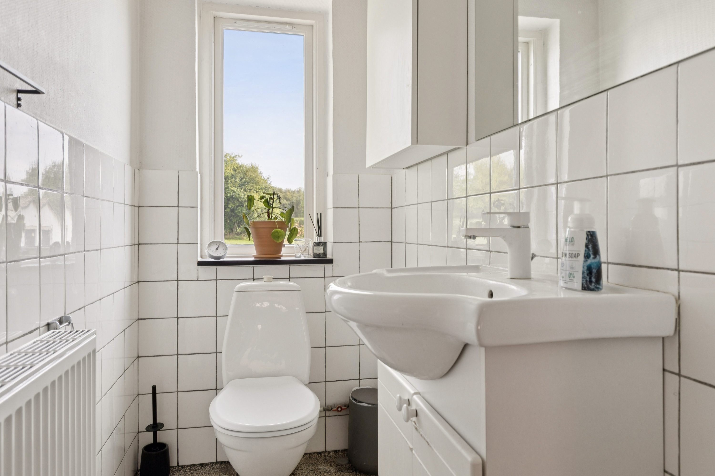 Fremhævet toilet billede i fuldskærmstilstand. Billede af Vilhelmshøjvej 5, 4593 Eskebjerg