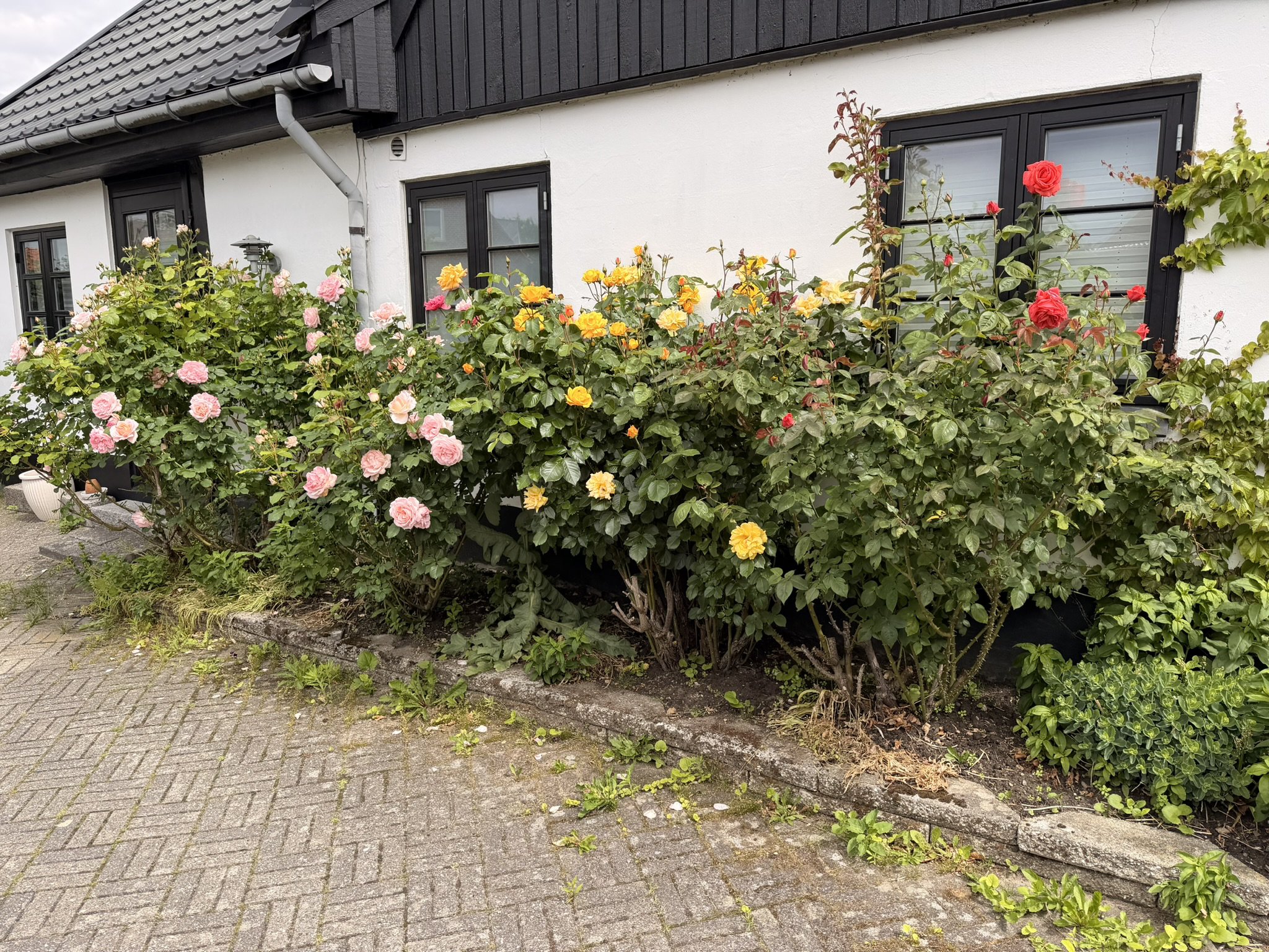 Fremhævet  billede i fuldskærmstilstand. Billede af Fossgårdsvej 23, 2720 Vanløse