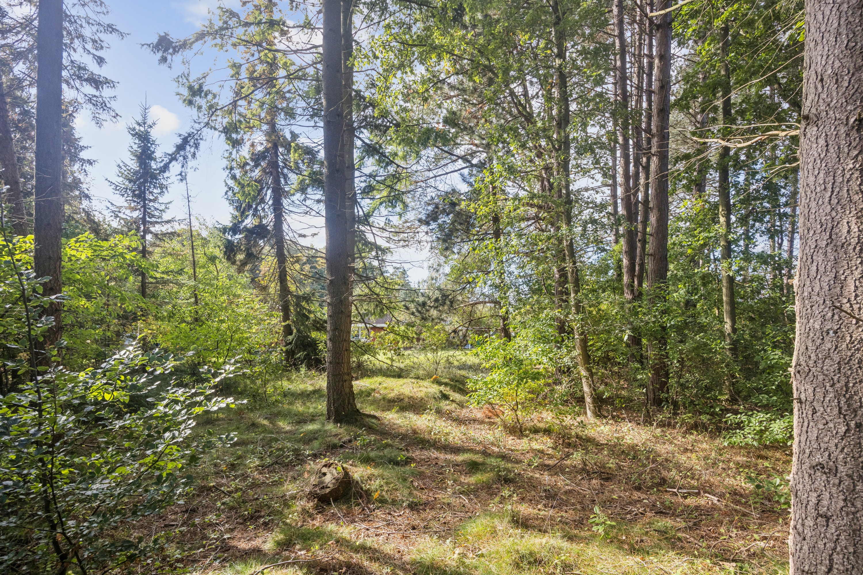Fremhævet have billede i fuldskærmstilstand. Billede af Krøjbergsvej 19, 9370 Hals