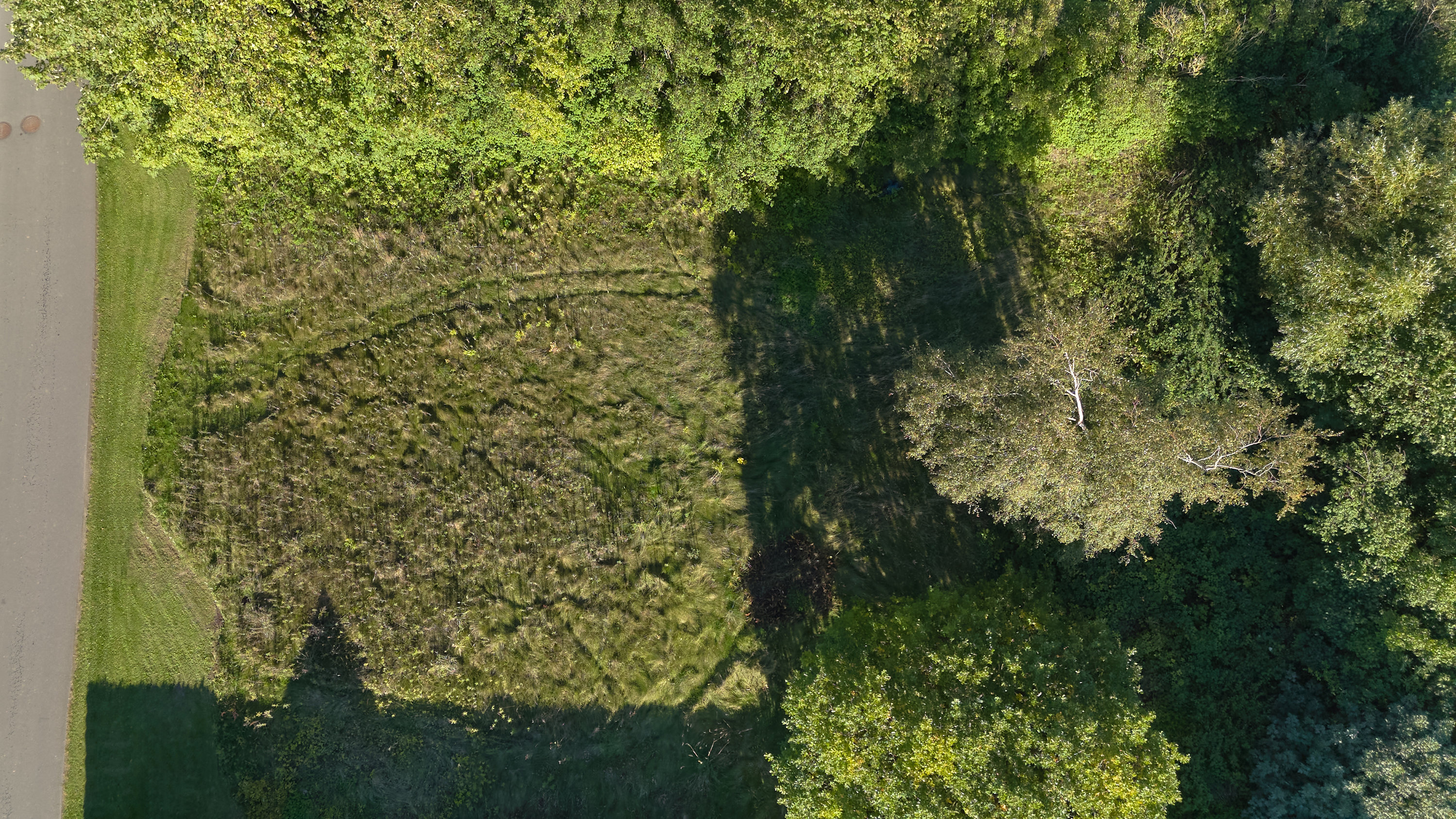 Fremhævet  billede i fuldskærmstilstand. Billede af Stenløsegyden 8B, Dømmestrup, 5792 Årslev