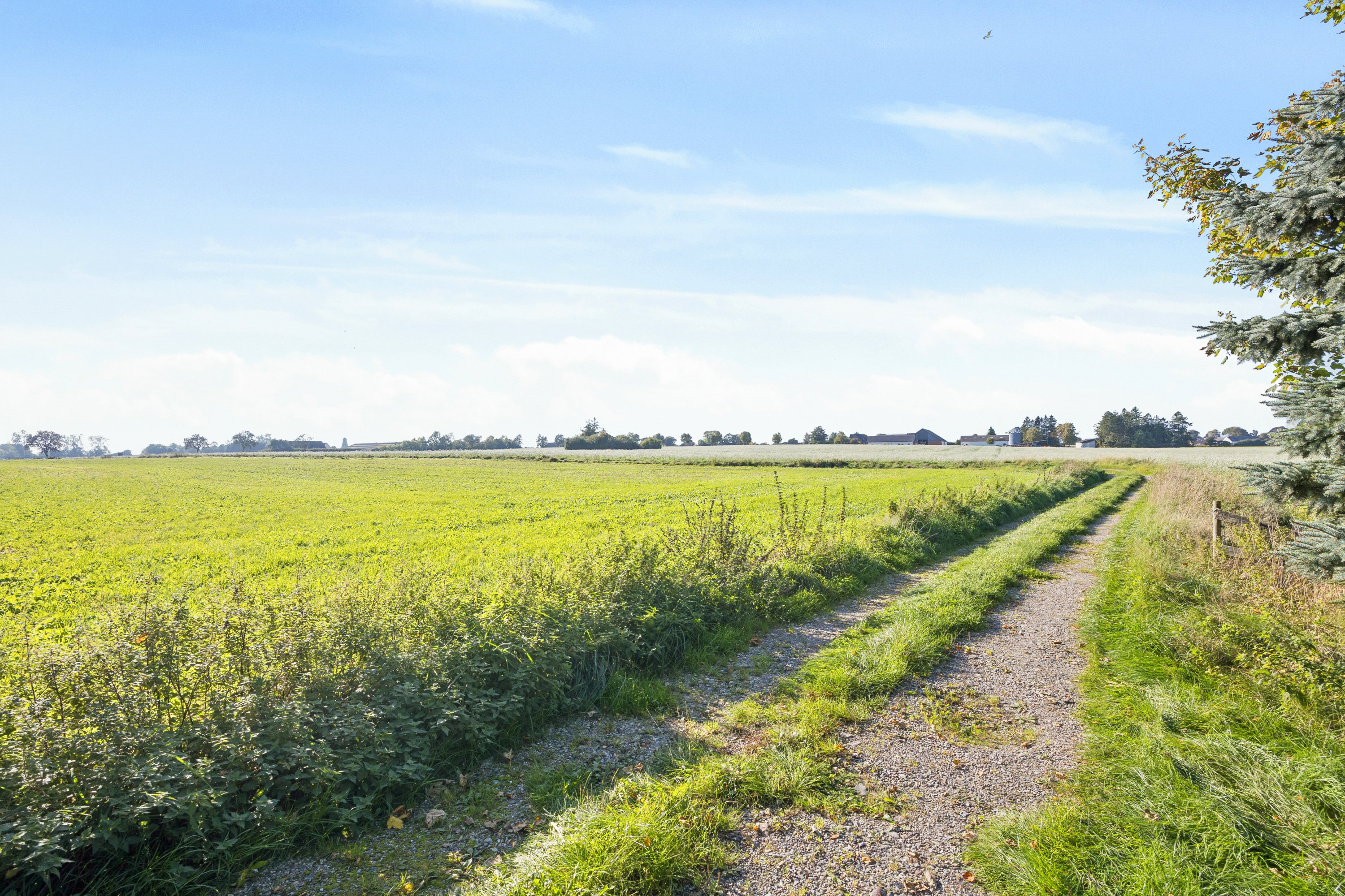 Fremhævet omgivelser billede i fuldskærmstilstand. Billede af Slimmingevej 38, 4100 Ringsted