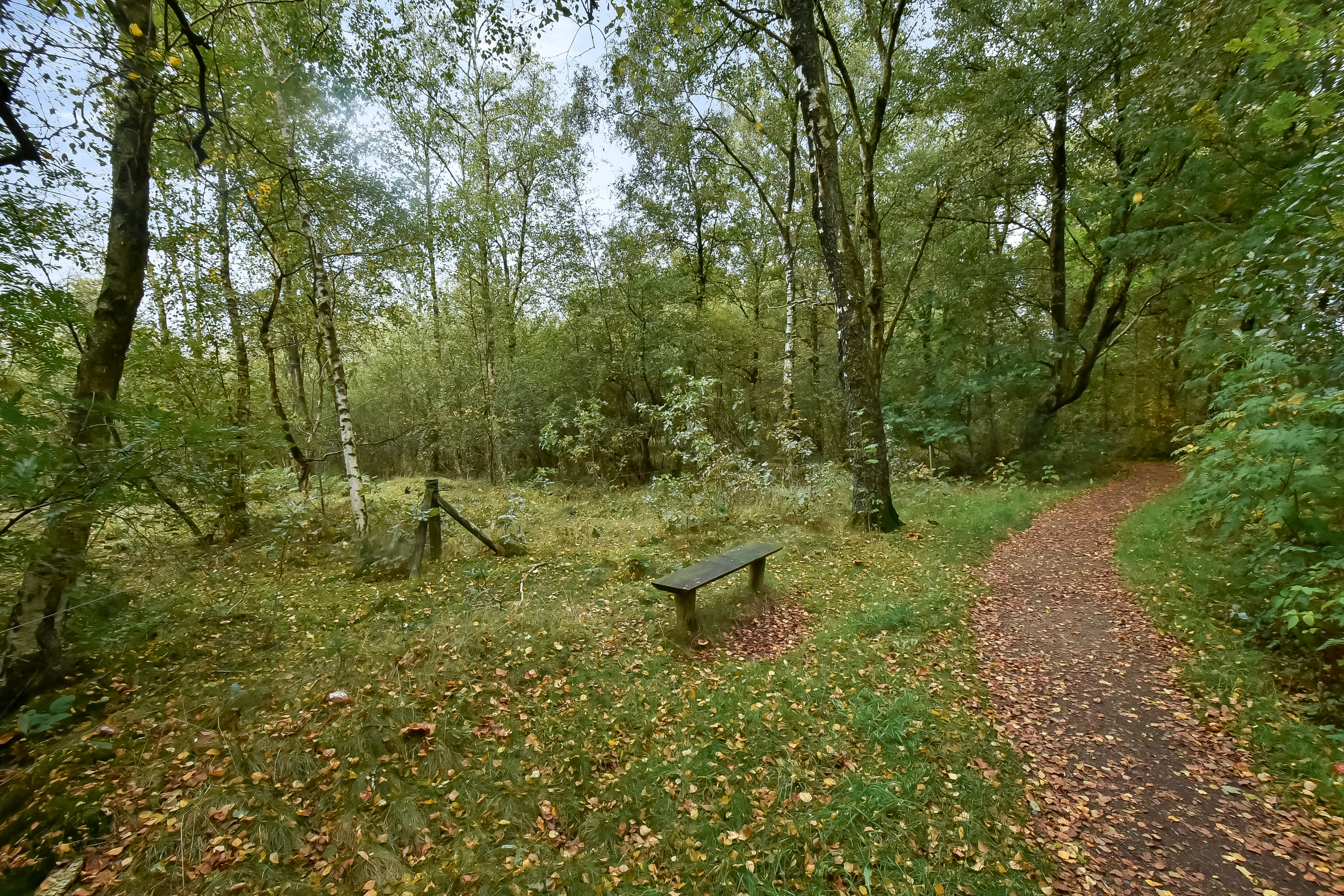 Fremhævet omklædning billede i fuldskærmstilstand. Billede af Grøndahlsvej 19, 2. 2., 7400 Herning