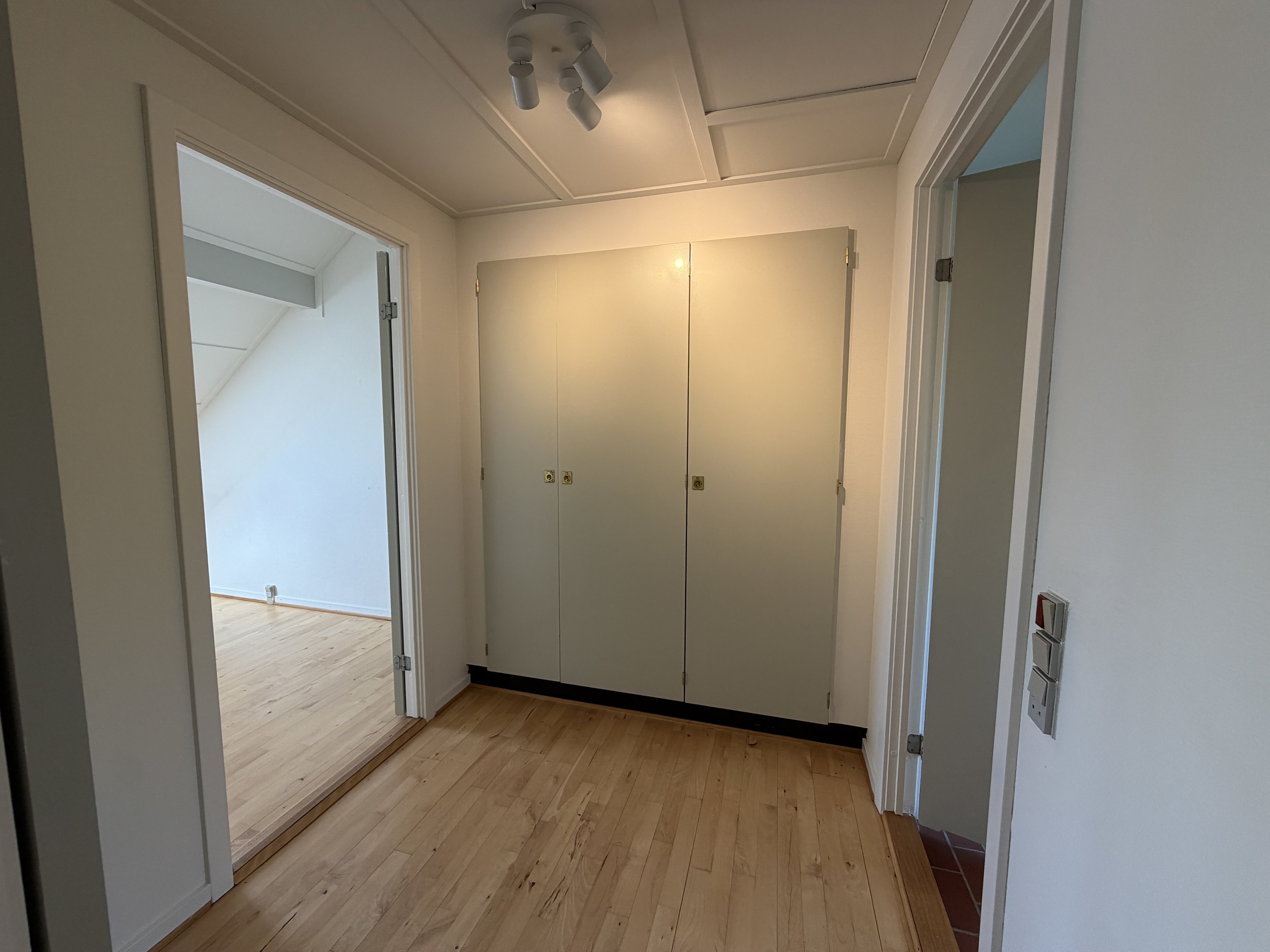 Fremhævet  billede i fuldskærmstilstand. Billede af Falen 59D, 5000 Odense C